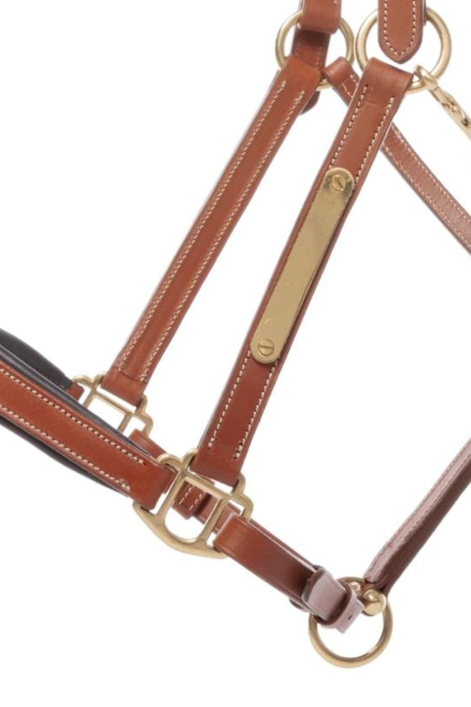 Kavalkade Bennet Leather Halter Halters & Leads