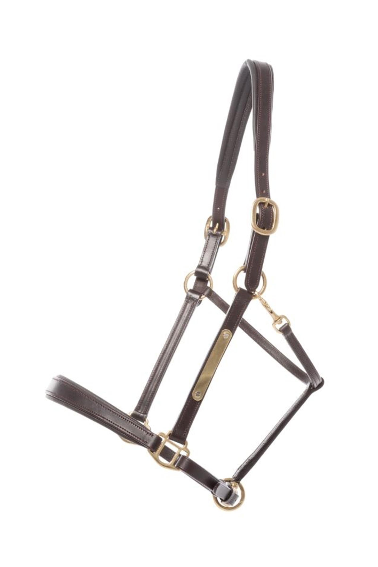 Kavalkade Bennet Leather Halter Halters & Leads