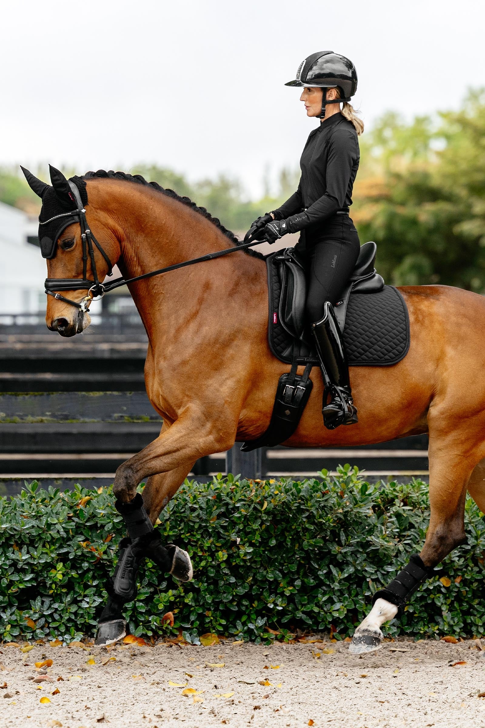 LeMieux Brilliance Dressage Square Saddle Pads