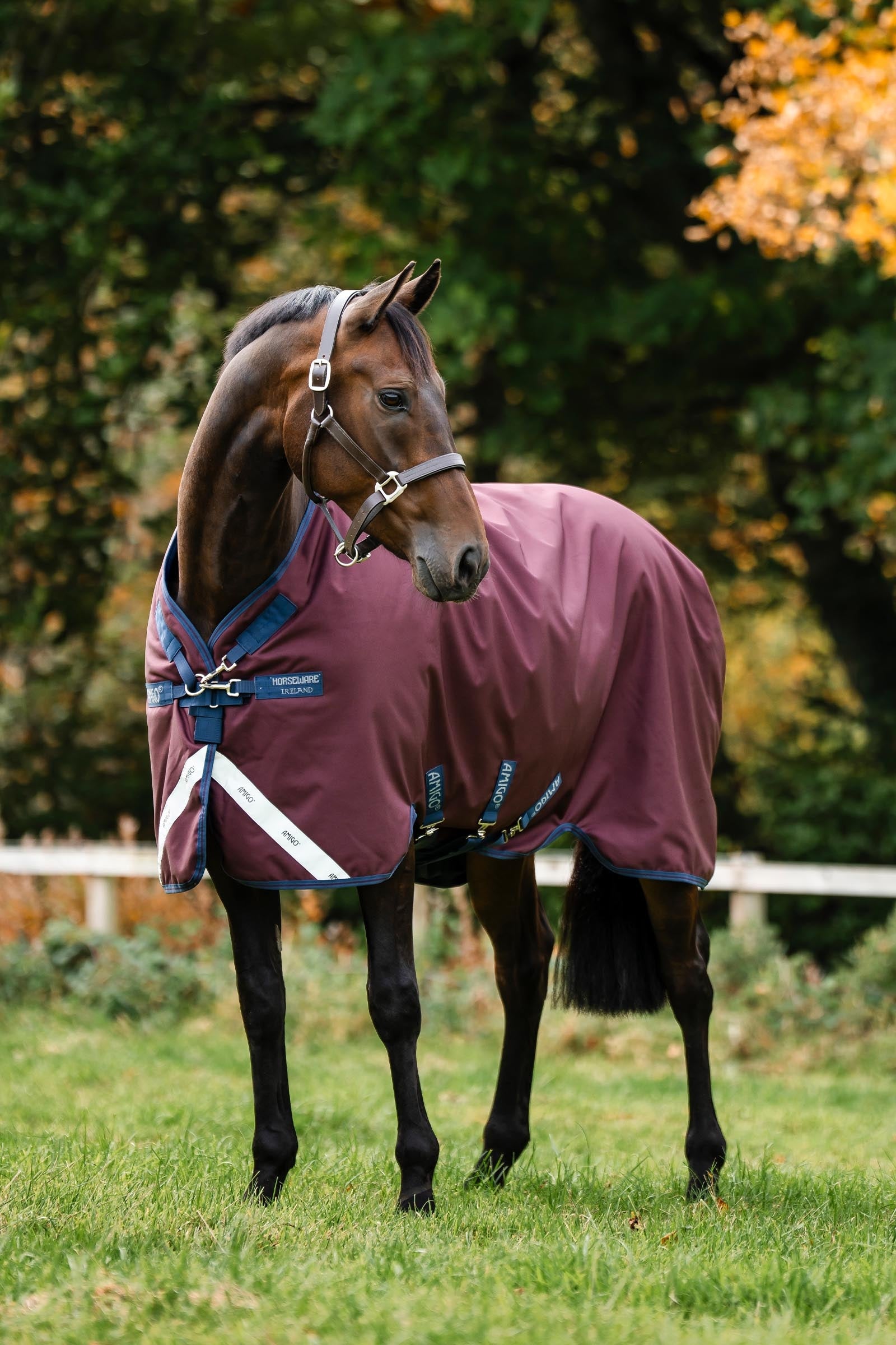 Horseware Amigo 1200D Turnout Rug, 0 g Horse Rugs