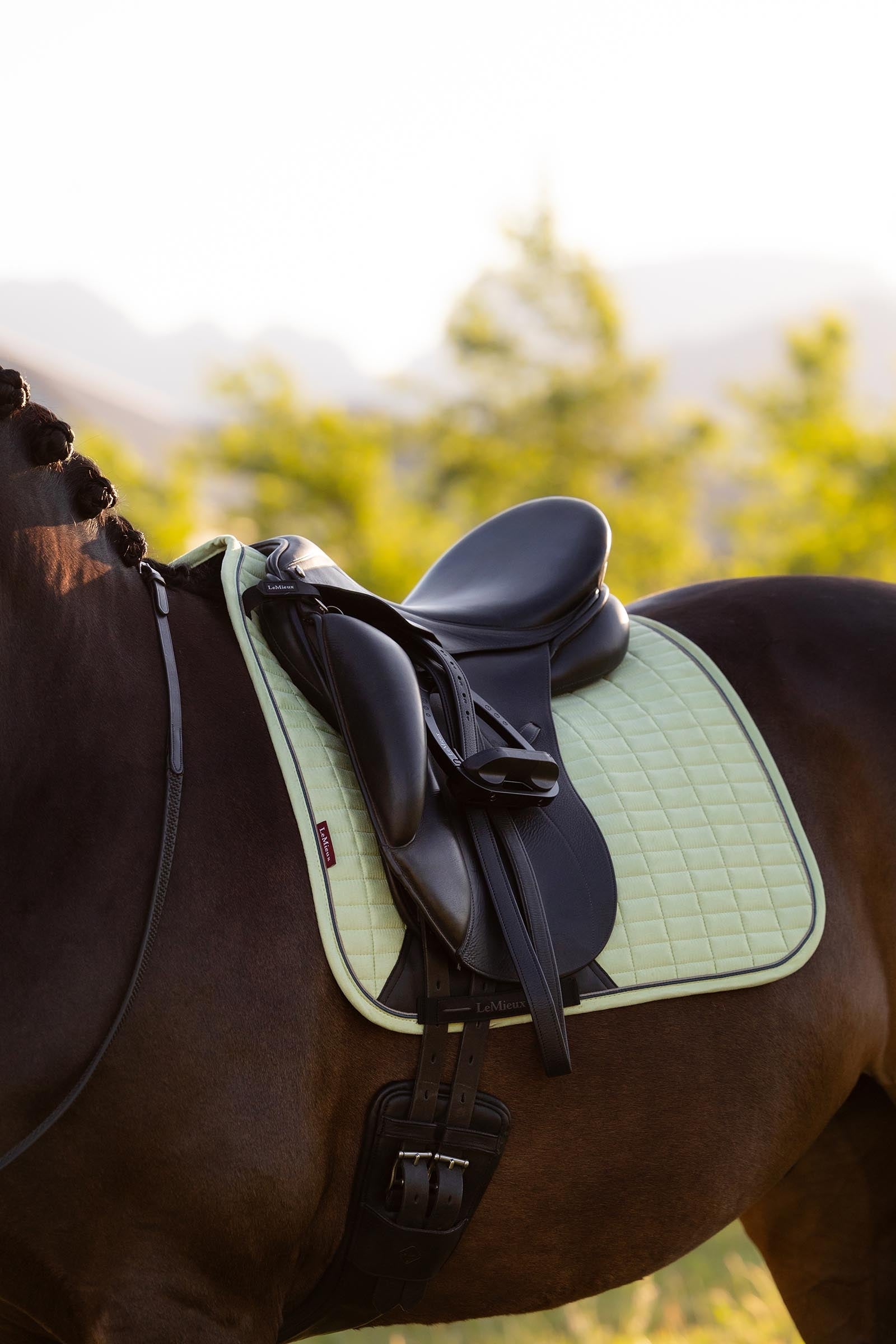 LeMieux Suede Square Dressage Saddle Pad Saddle Pads