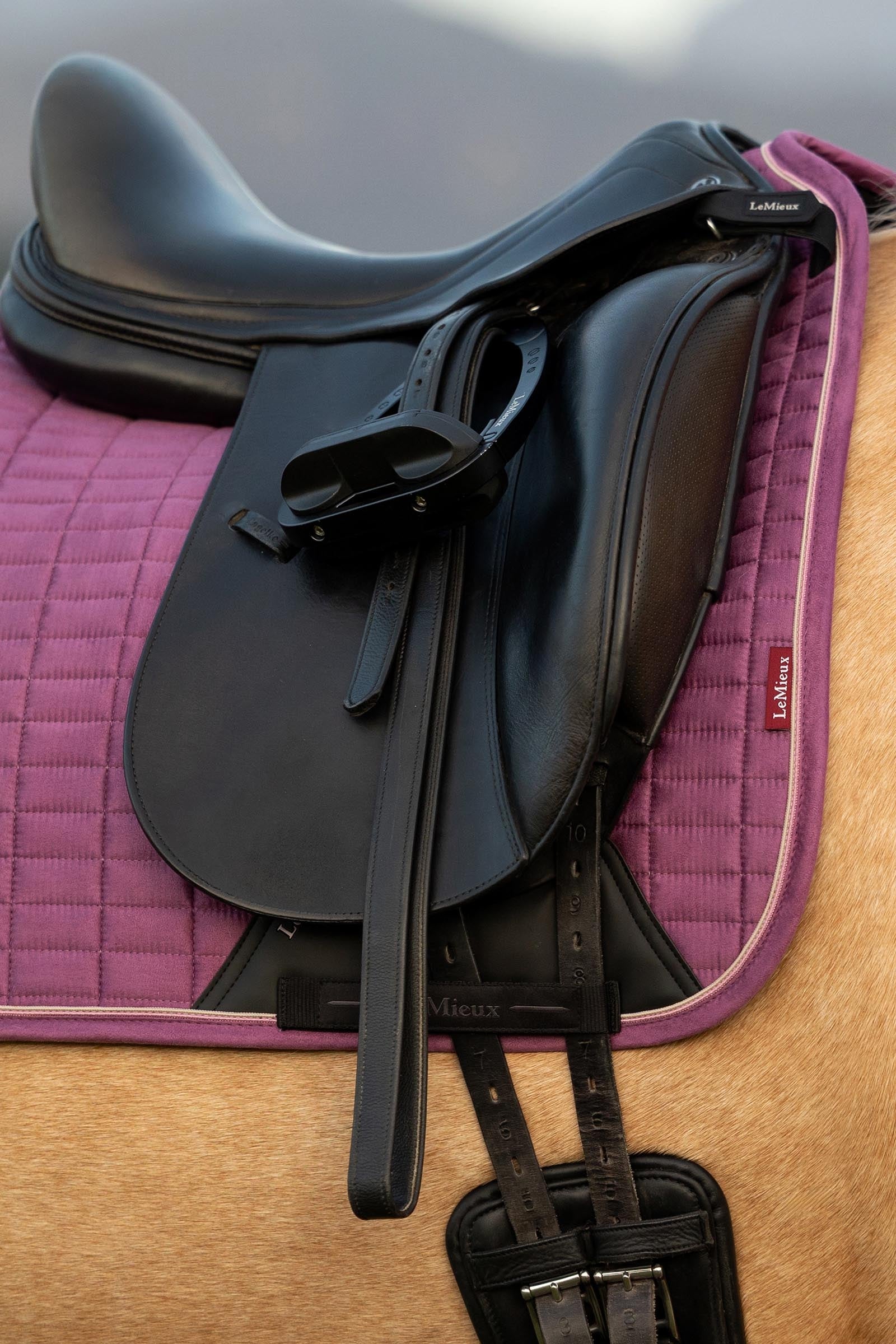 LeMieux Suede Square Dressage Saddle Pad Saddle Pads