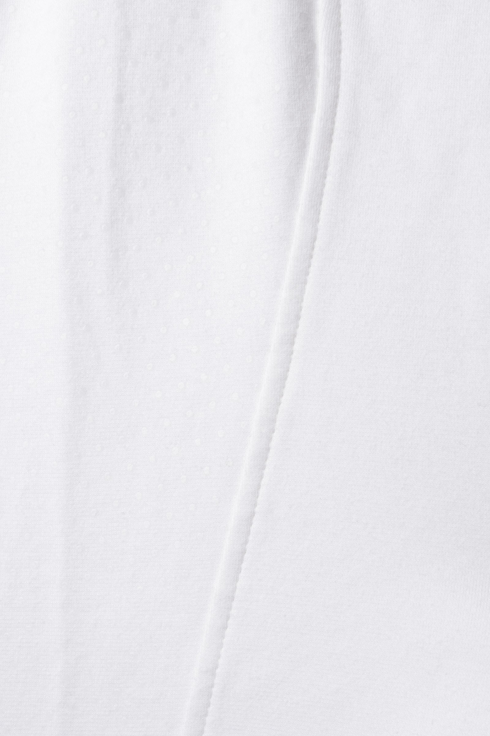 Alt Tag fallback text for IMAGE