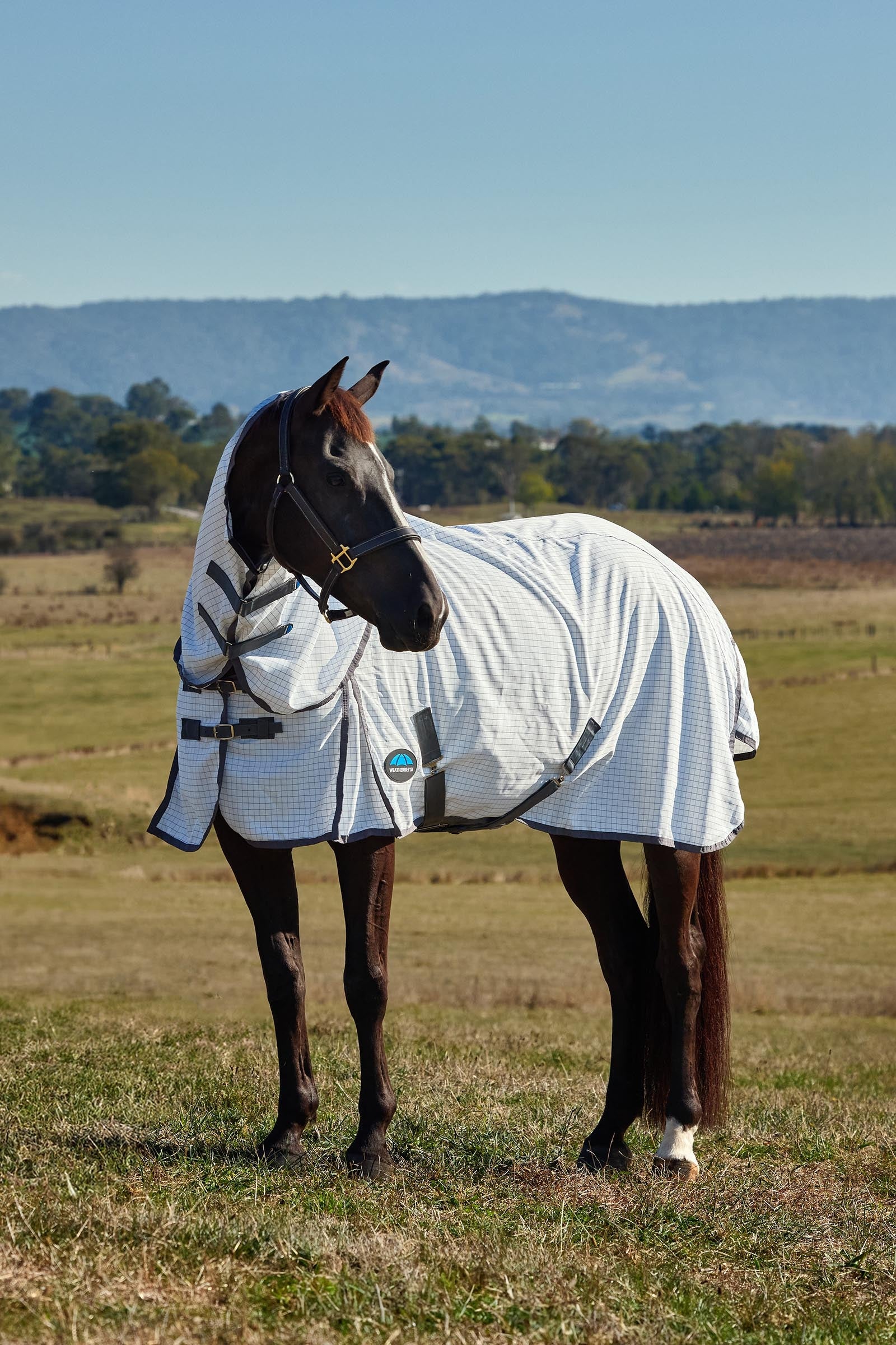 Weatherbeeta Hybrid Sheet Combo W. Fixed Neck, 0g Horse Rugs