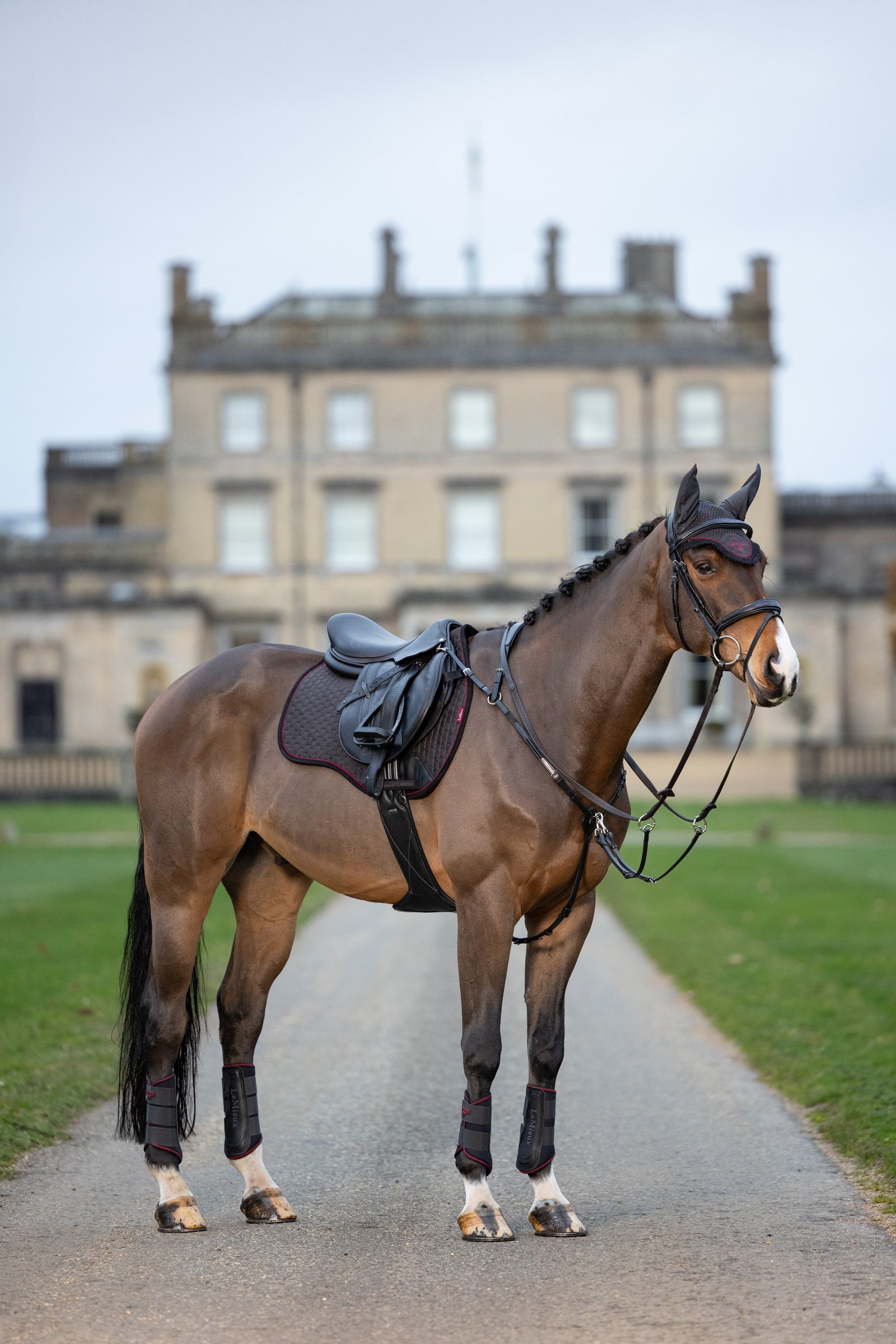 LeMieux Classic Fly Hood Saddle Pads