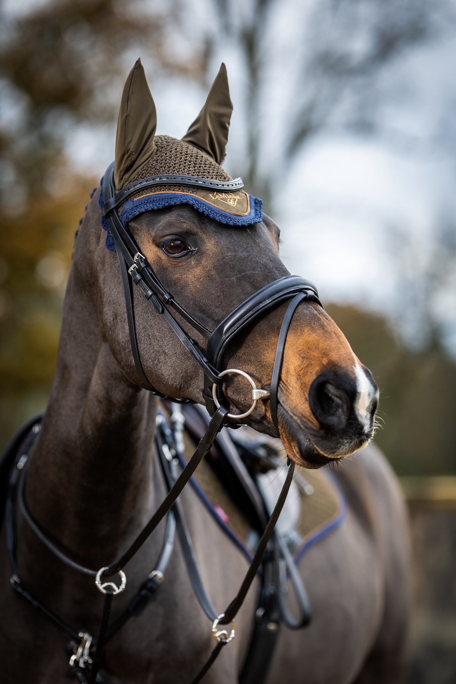 LeMieux Classic Fly Hood Saddle Pads
