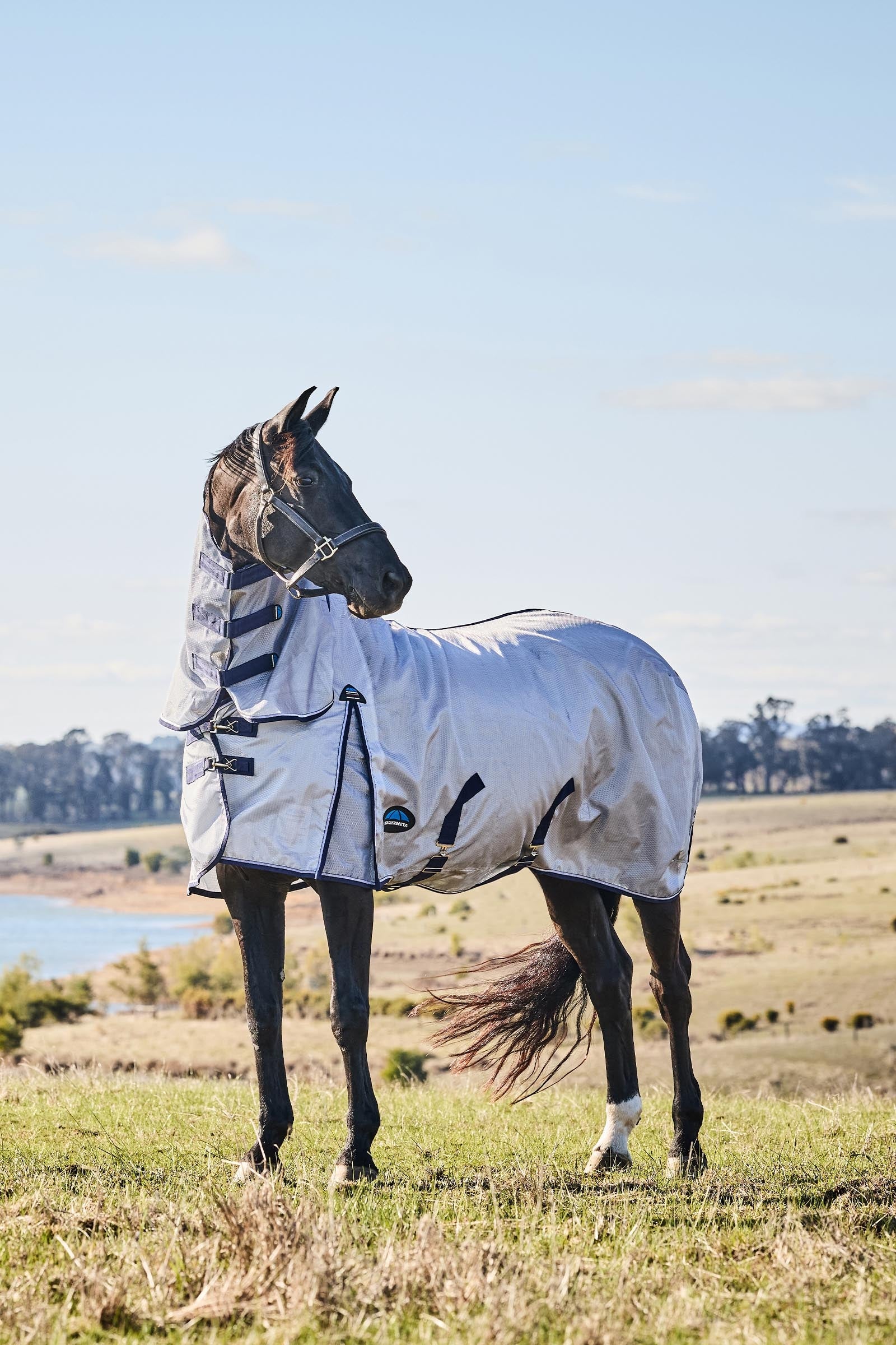 Weatherbeeta Comfitec Hexi Shield Fly Sheet Combo W. Fixed Neck, 0g Horse Rugs