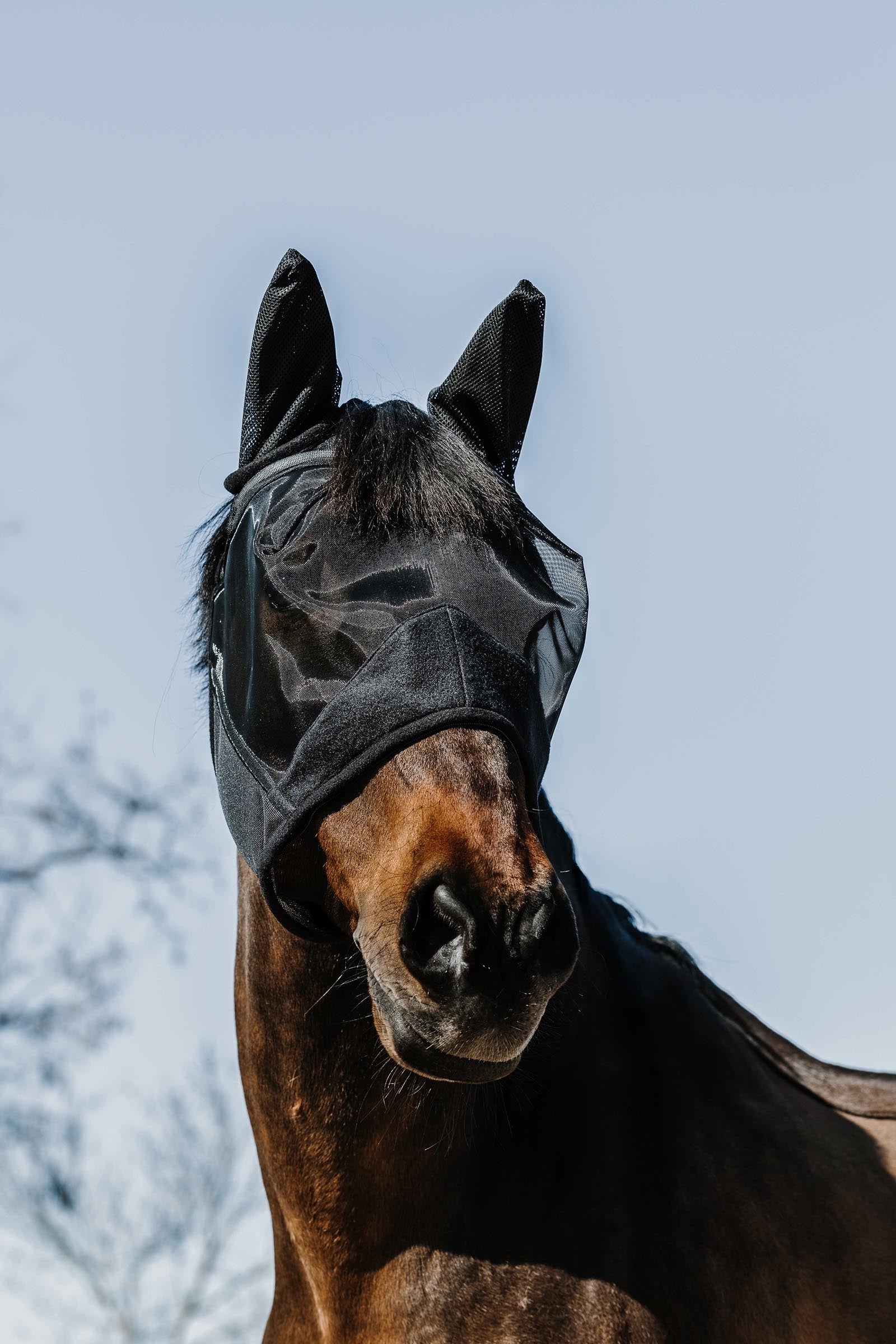EQUITHÈME Supercut Fly Mask Antifly Protection for Horses