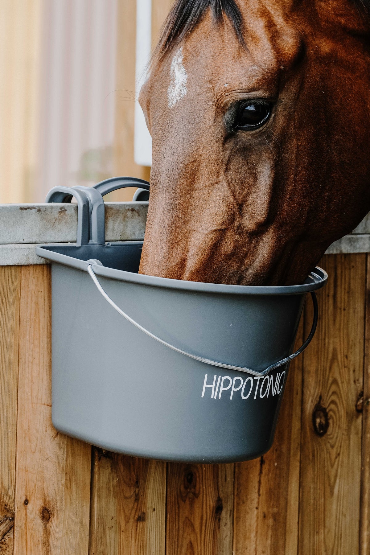 HIPPOTONIC Feeder With Hooks And Handle, 14 L Horse Feeders & Waterers