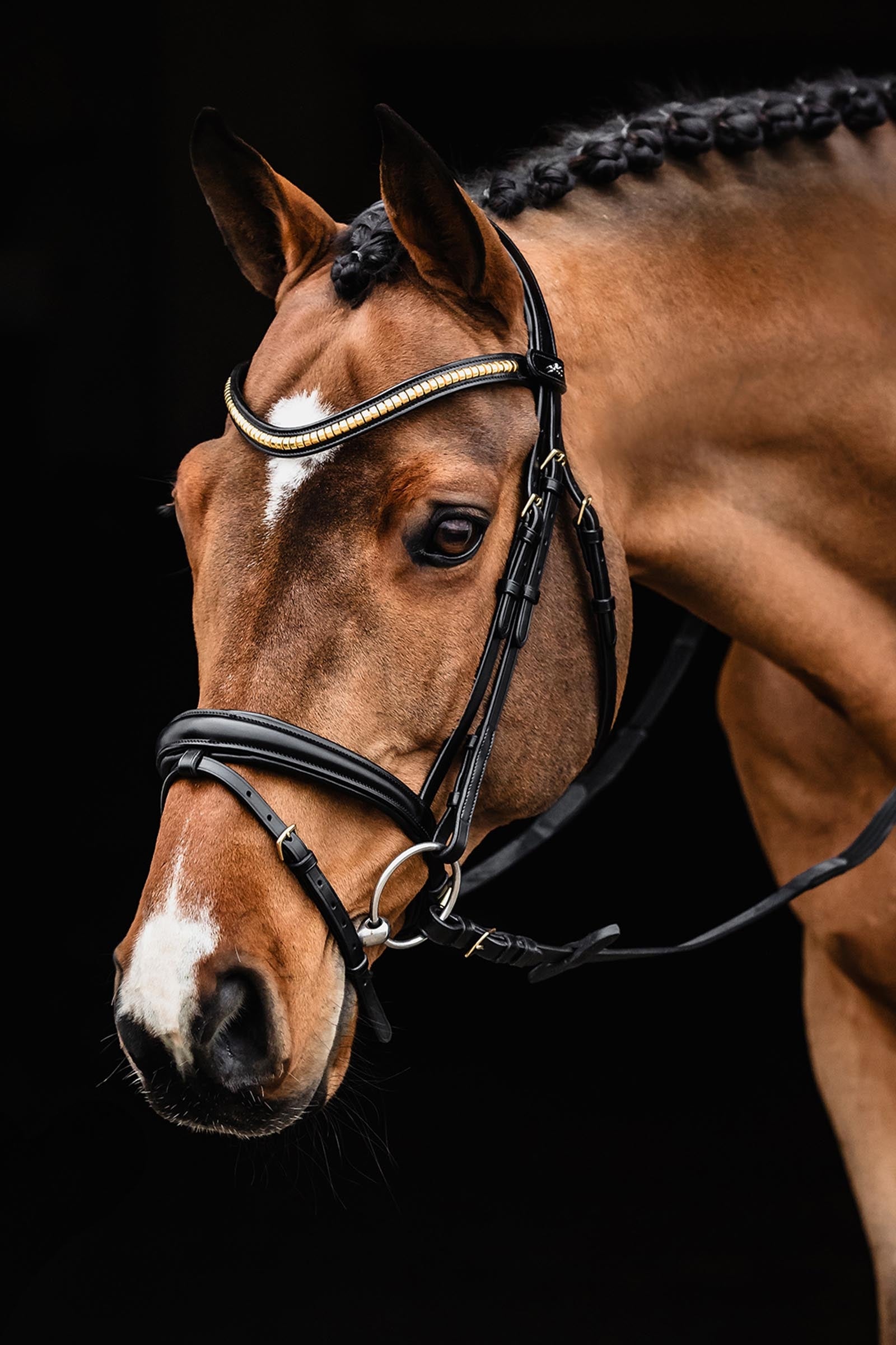 Schockemöhle Sports Schockemoehle Sports SP Monza C Bridle Bridles & Reins
