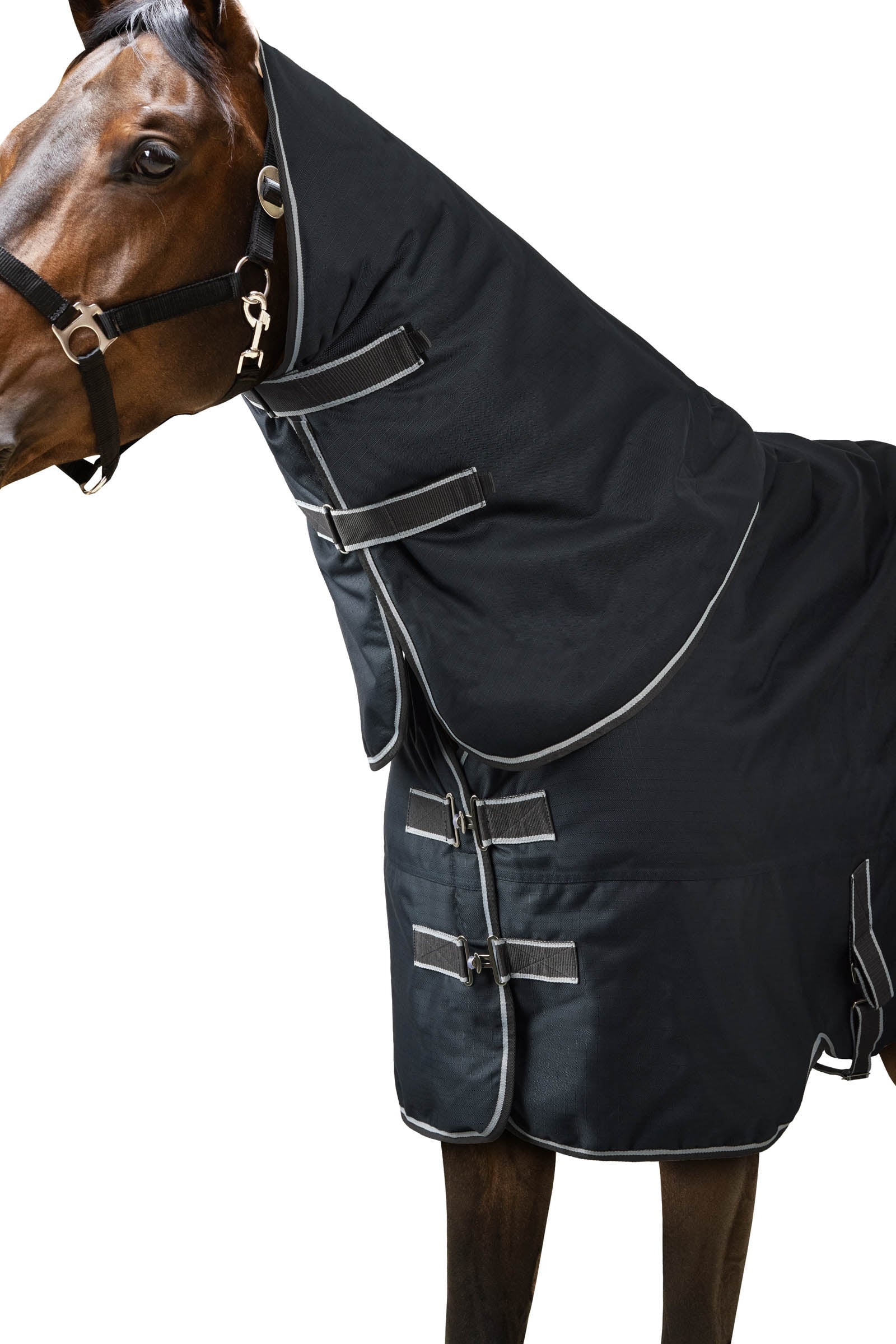 Horze Kodiak 1200D Turnout Rug With Hood, 200 g Horse Rugs