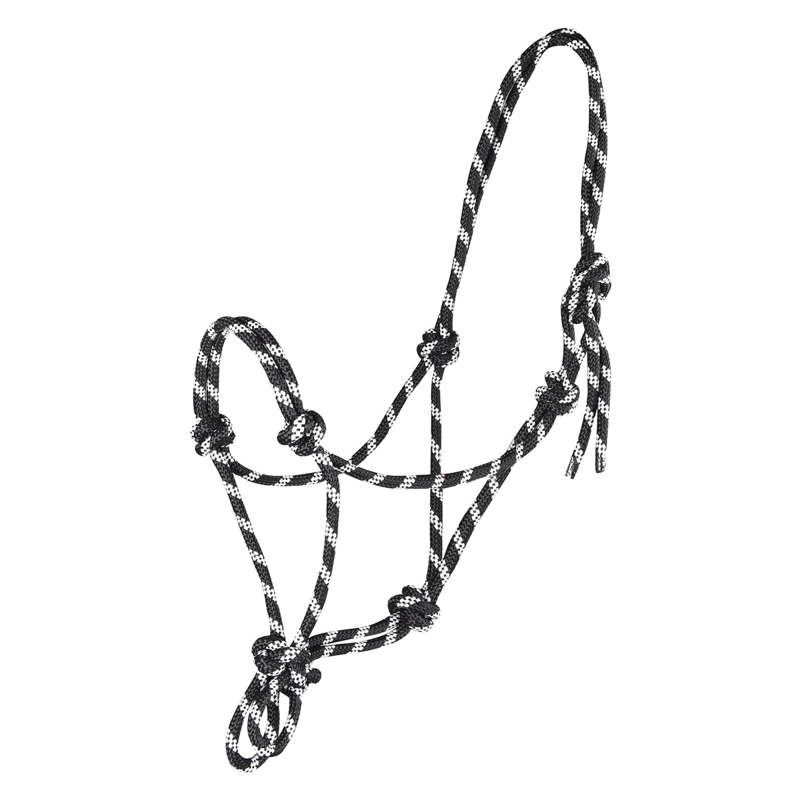 Alt Tag fallback text for IMAGE