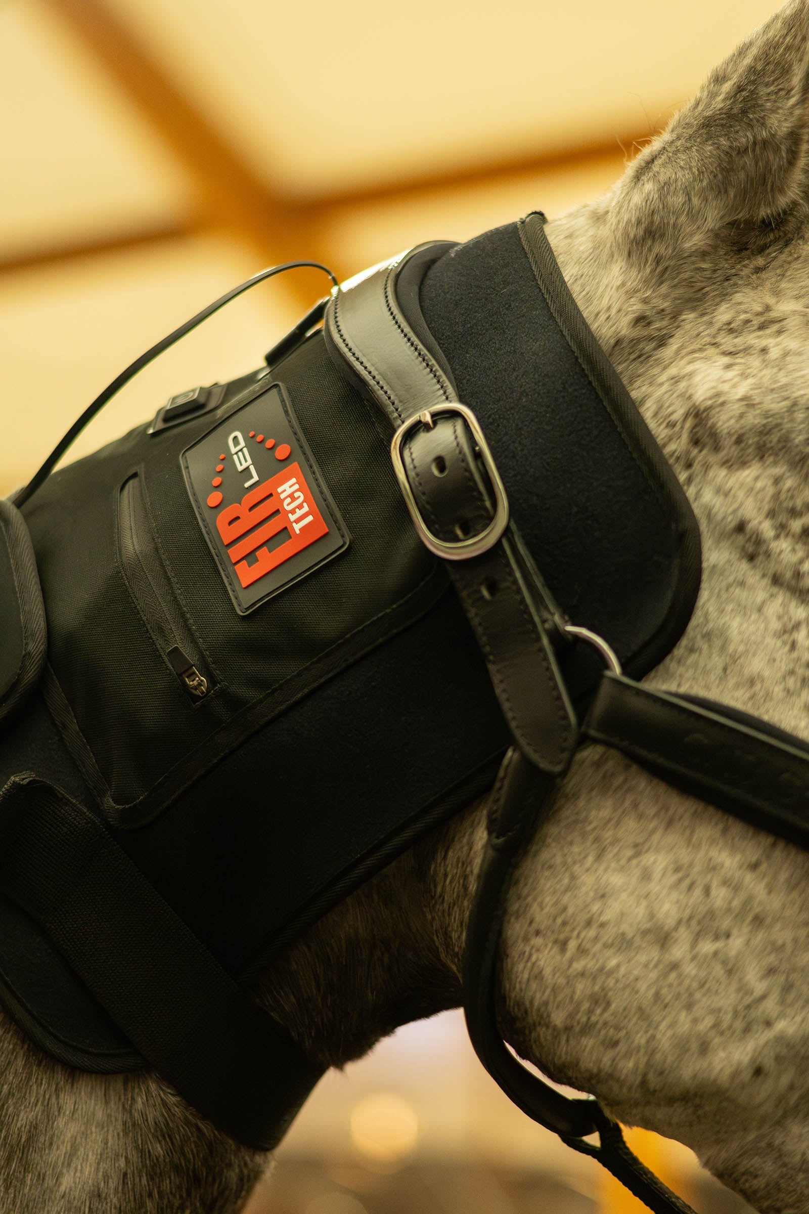 Catago CATAGO FIR-Tech LED Therapy pad Q27 Horse Rugs