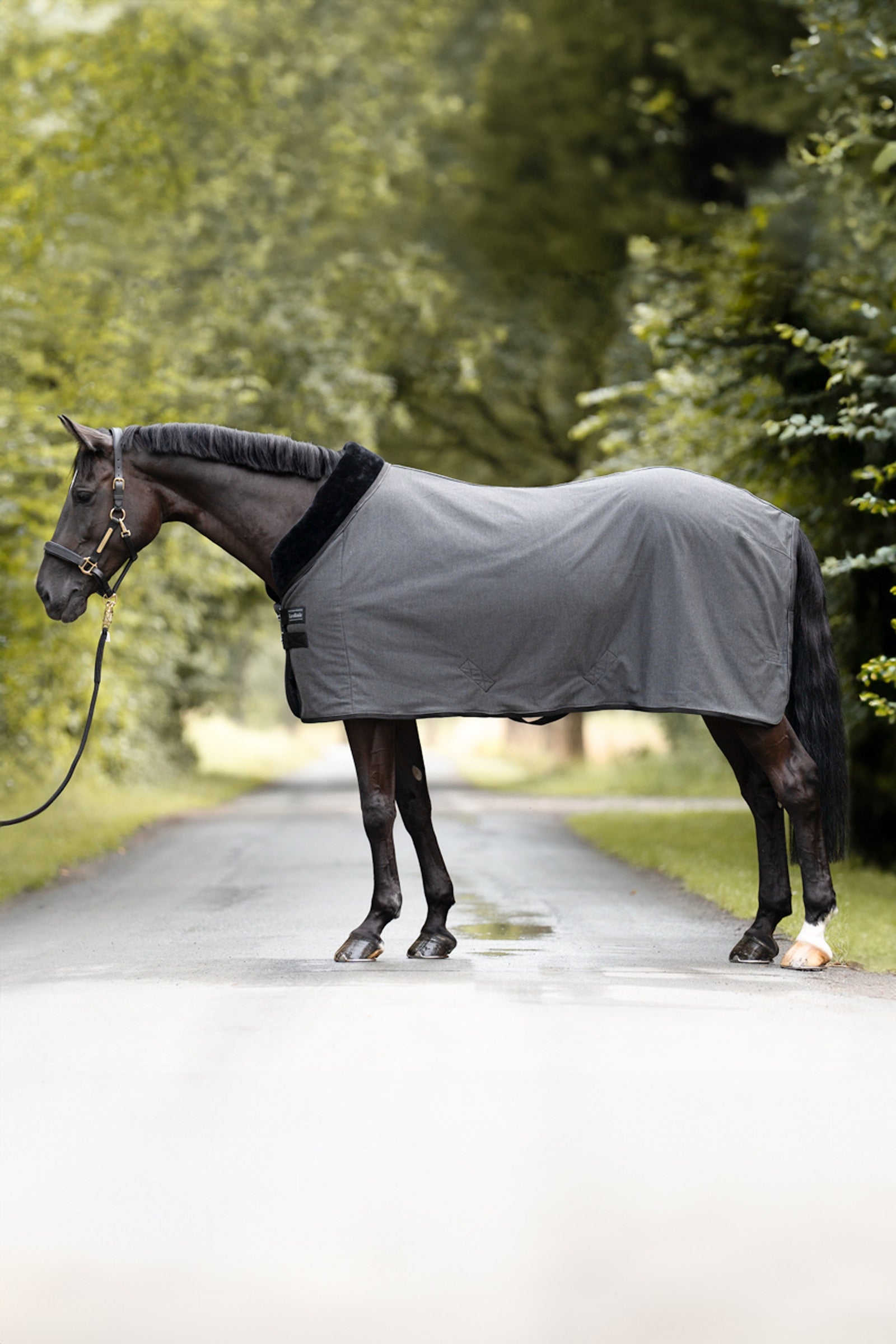 Kavalkade Elegance Traveling & Cooler Rug Horse Rugs