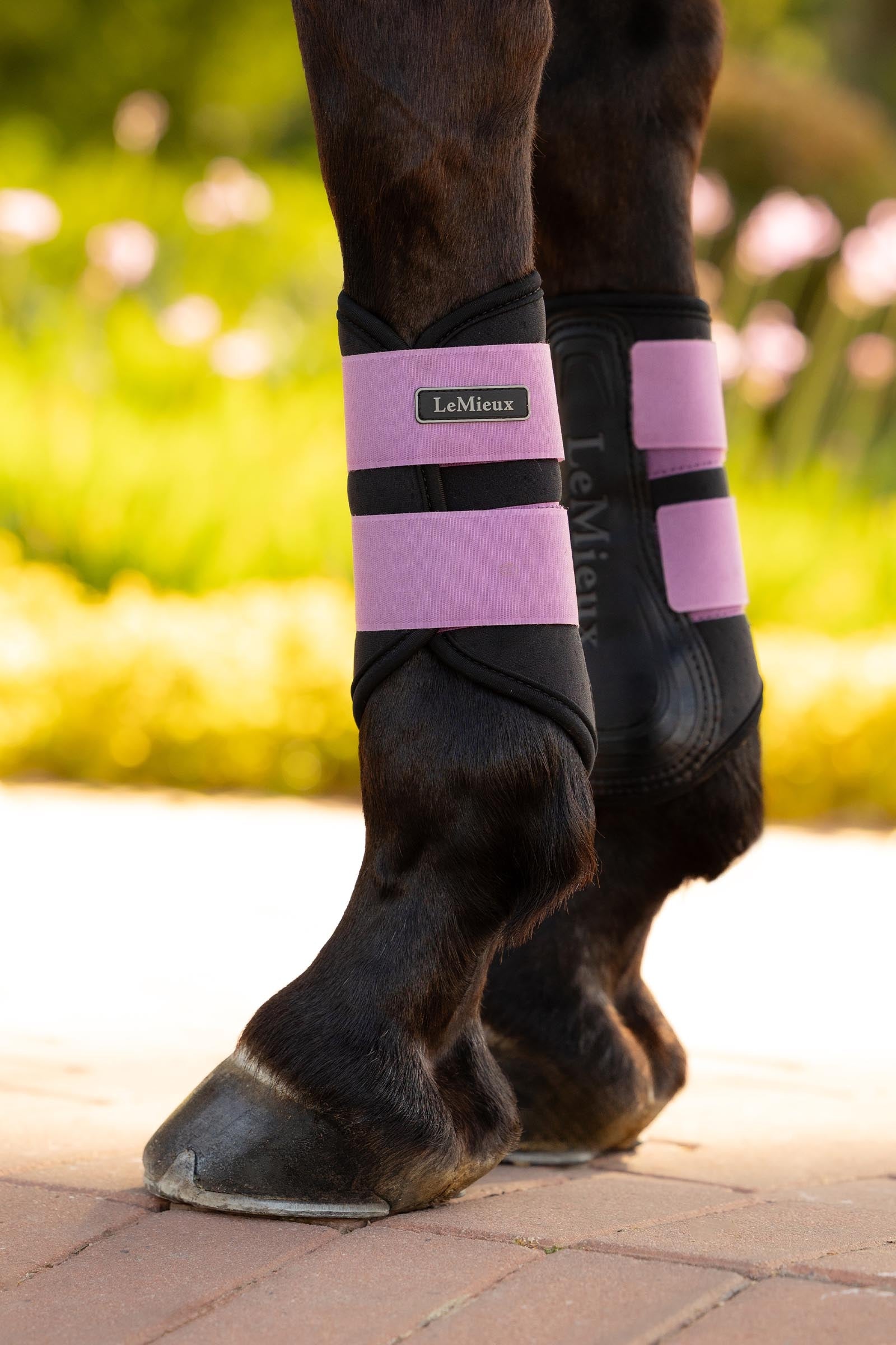 LeMieux Air-Tek Grafter Brushing Boots Leg & Hoof Protection