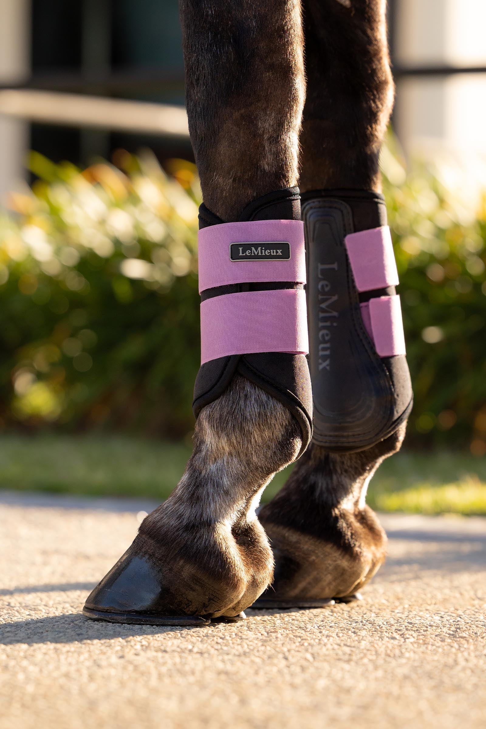 LeMieux Air-Tek Grafter Brushing Boots Leg & Hoof Protection