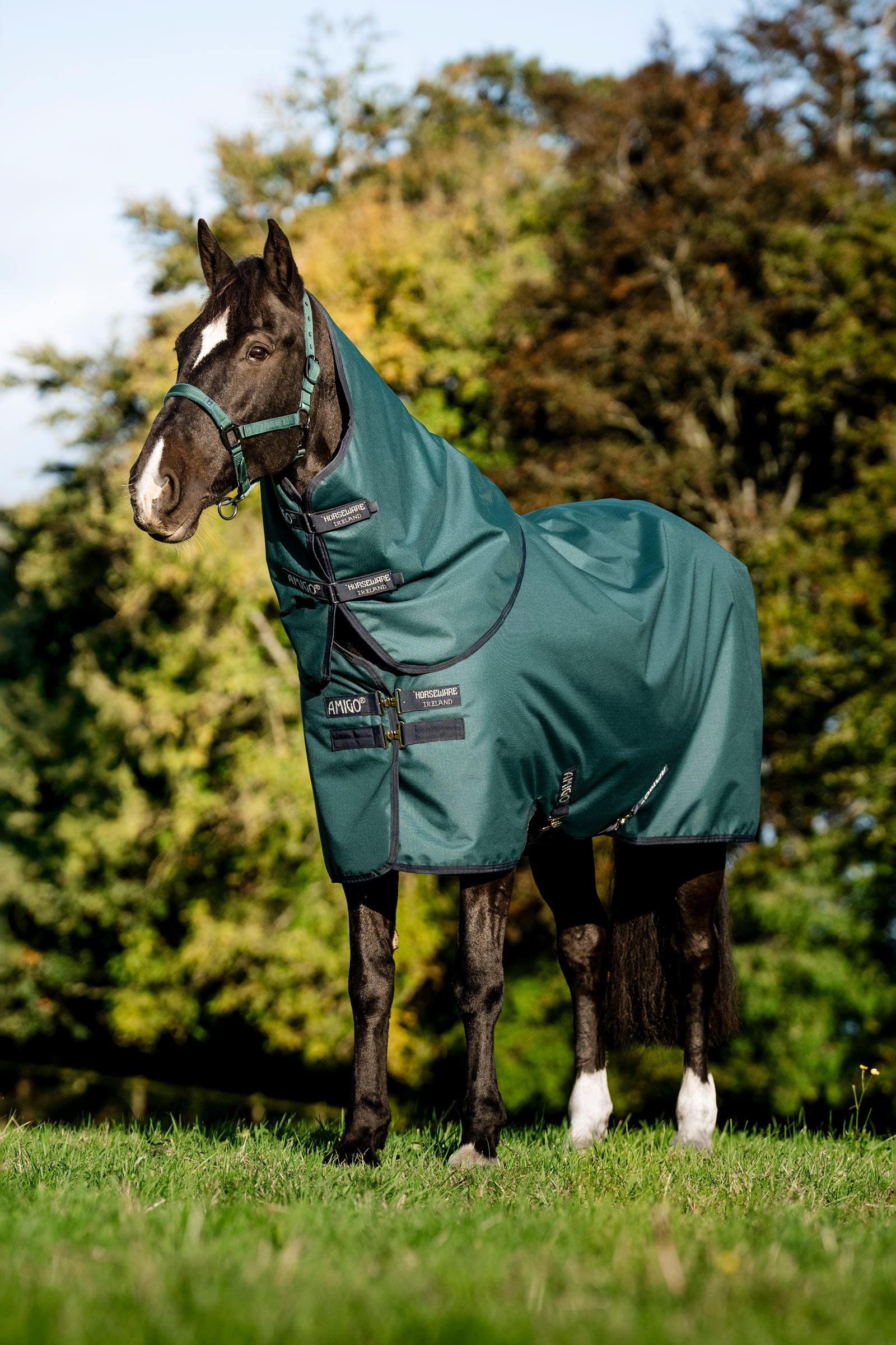 Horseware Amigo Ripstop 900D Plus Pony Turnout Rug, 50 g Horse Rugs