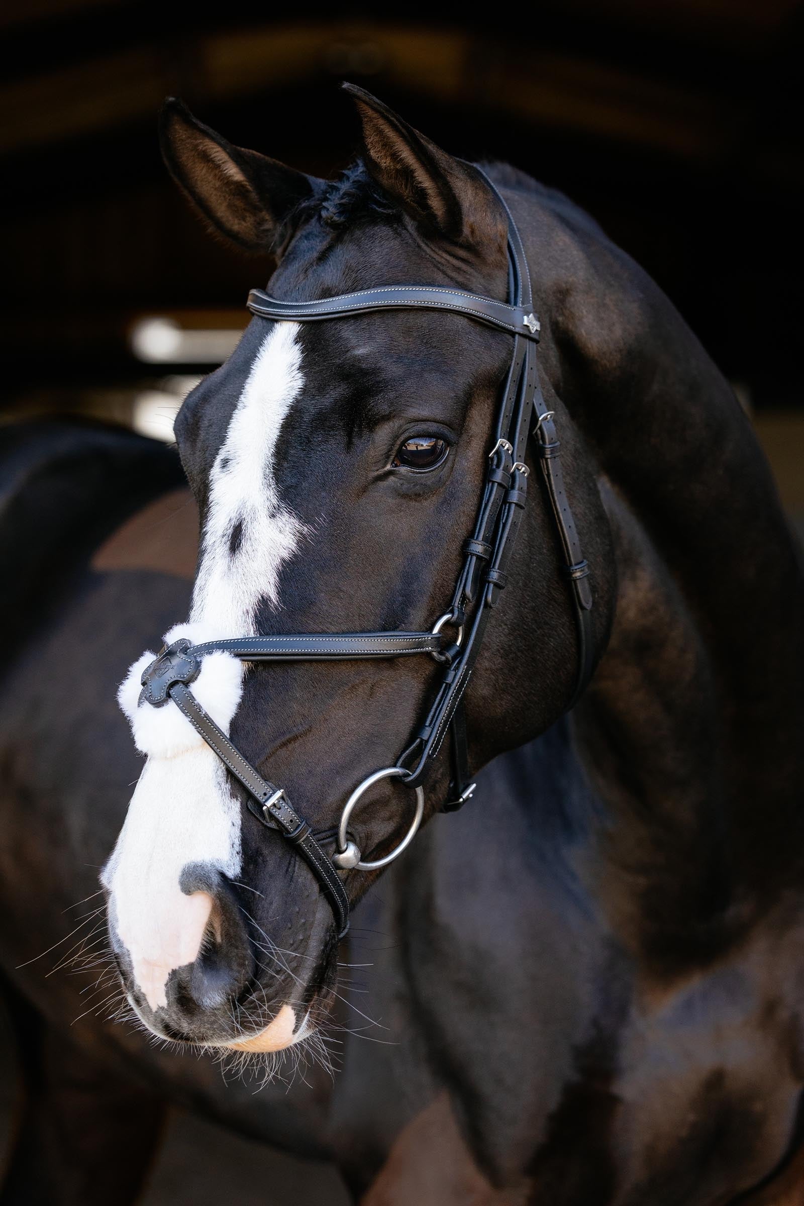LeMieux Arika Grackle Bridle Bridles & Reins