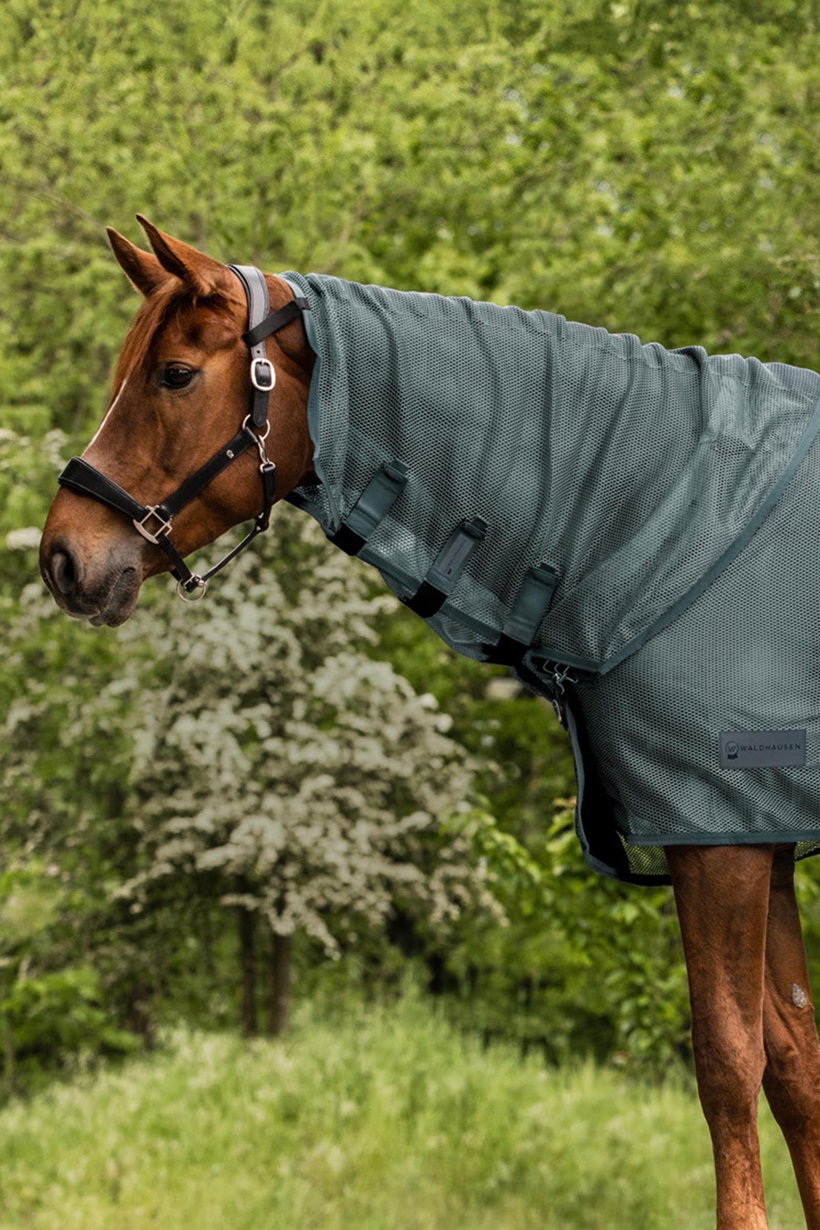 Waldhausen Comfort Fly Neck Cover Horse Rugs