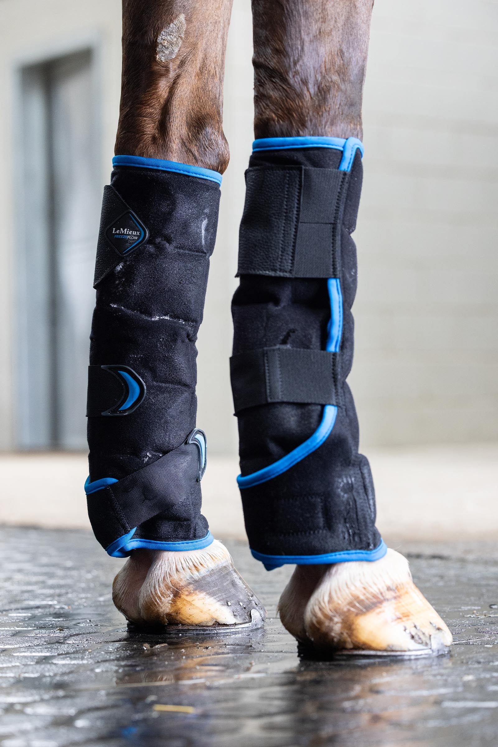 LeMieux Freeze Flow Ice Boot Front Leg & Hoof Protection