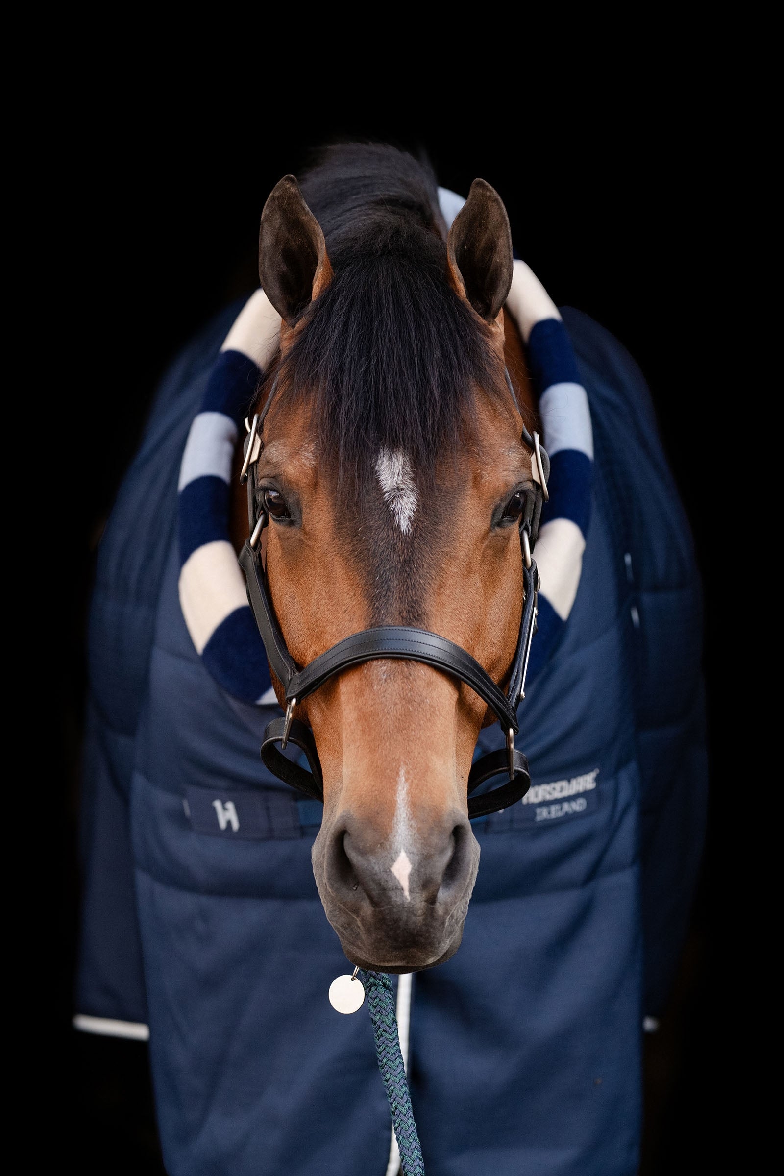 Horseware Newmarket Cosy Stable 100g Horse Rugs