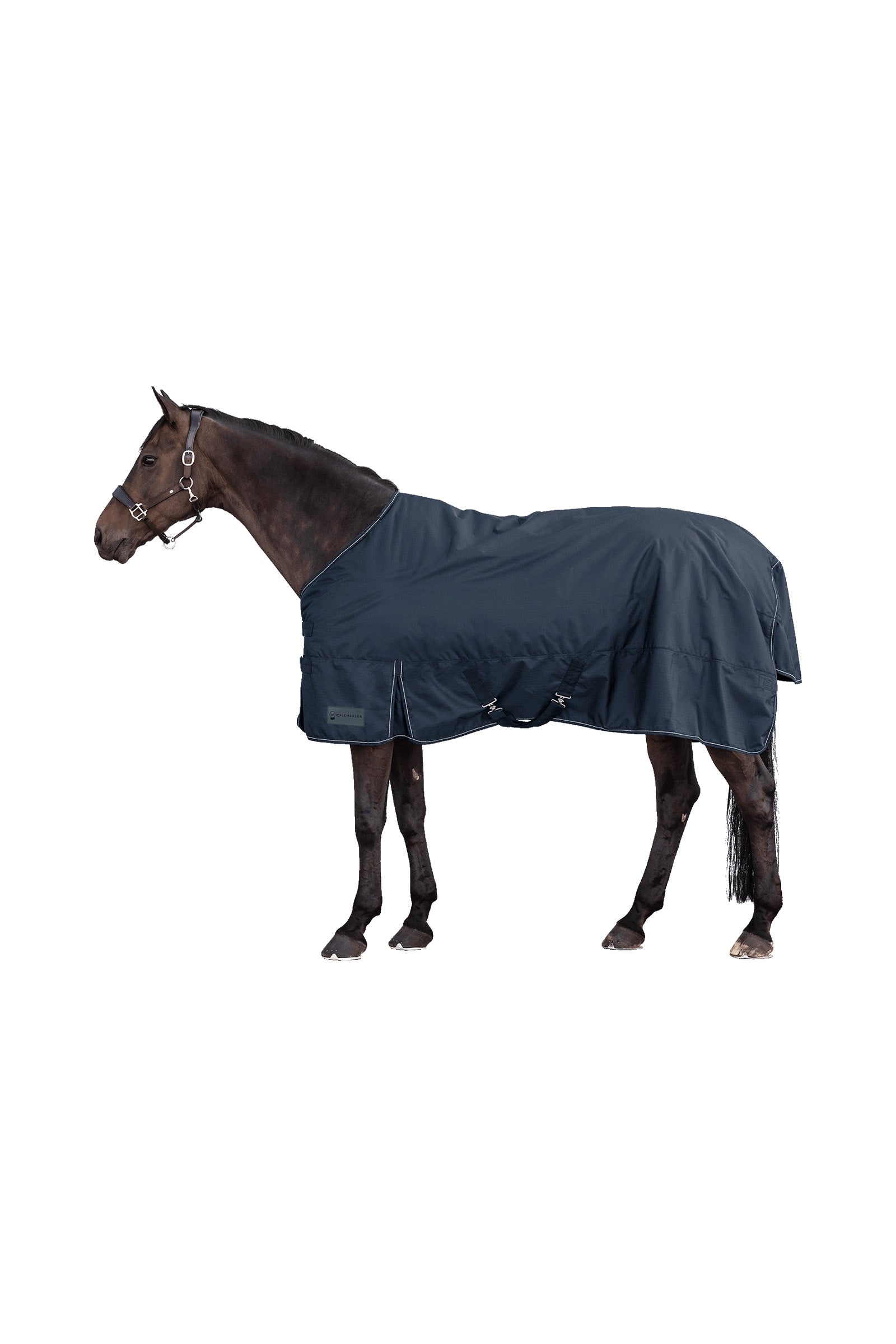 Waldhausen NORDIC 600D Light Outdoor Rug Horse Rugs