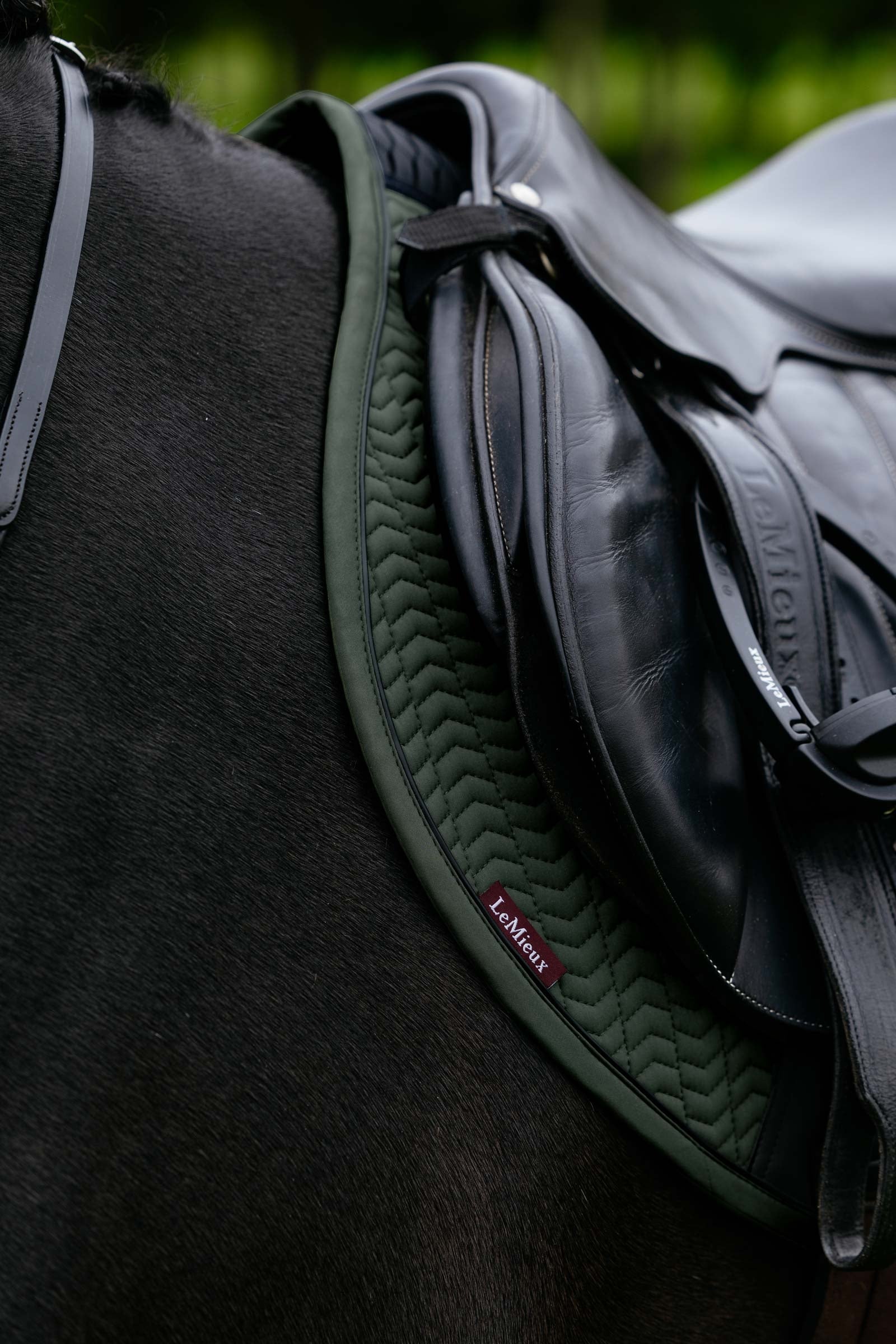 LeMieux Essence Eurojump Jumping Saddle Pad Saddle Pads