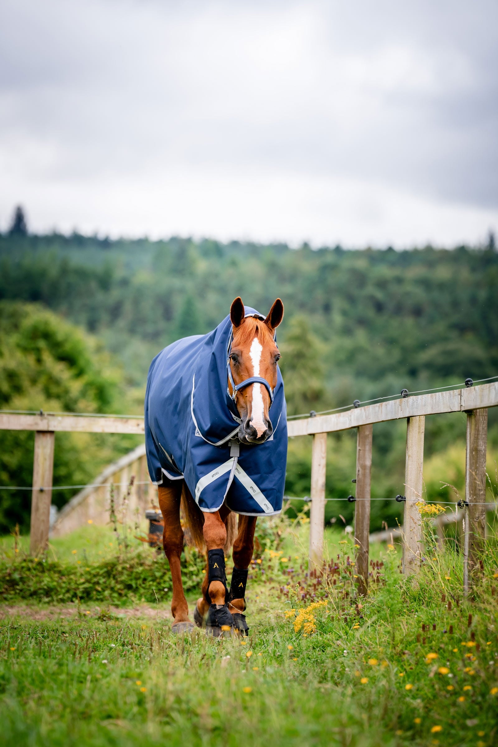 Horseware Amigo Bravo 12 Plus Turnout Rug With Detachable Neck, 0g Horse Rugs