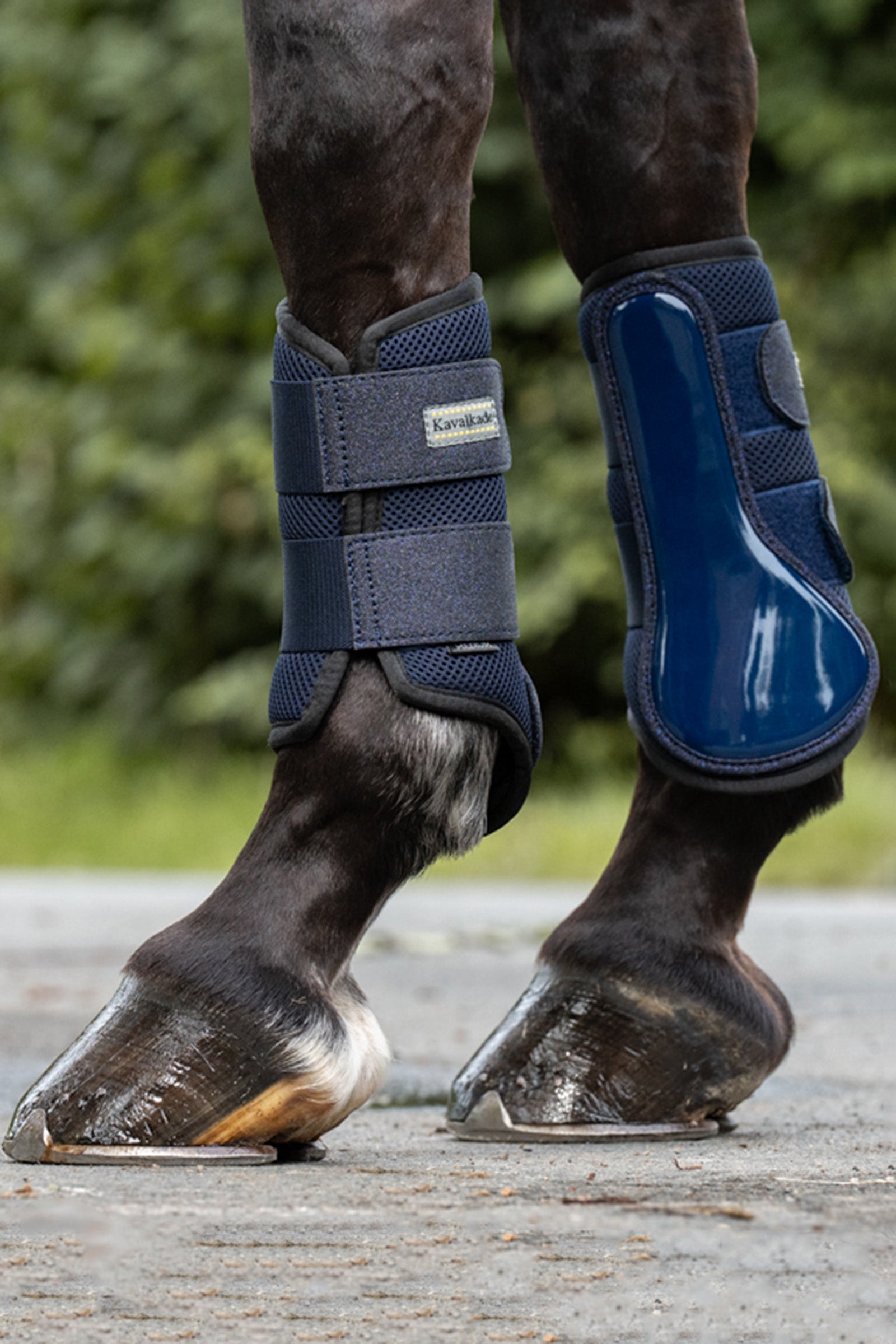 Kavalkade Anatomic Star Mesh Brushing Boots (1Pair) Leg & Hoof Protection