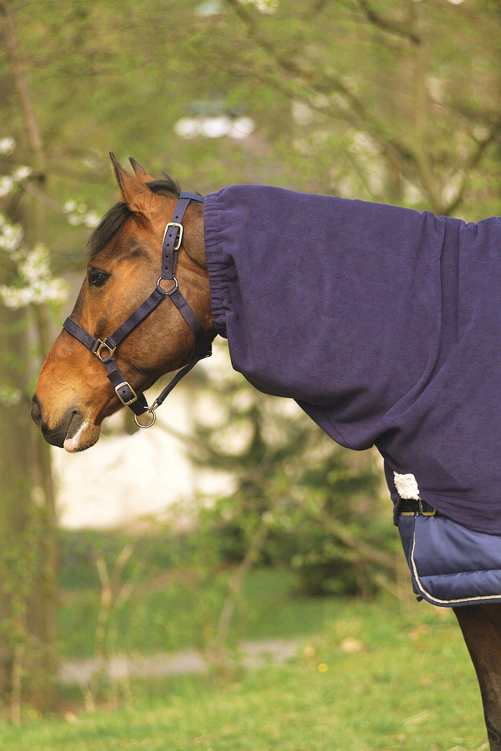 EQUITHÈME Polar Fleece Neck Cover Horse Rugs