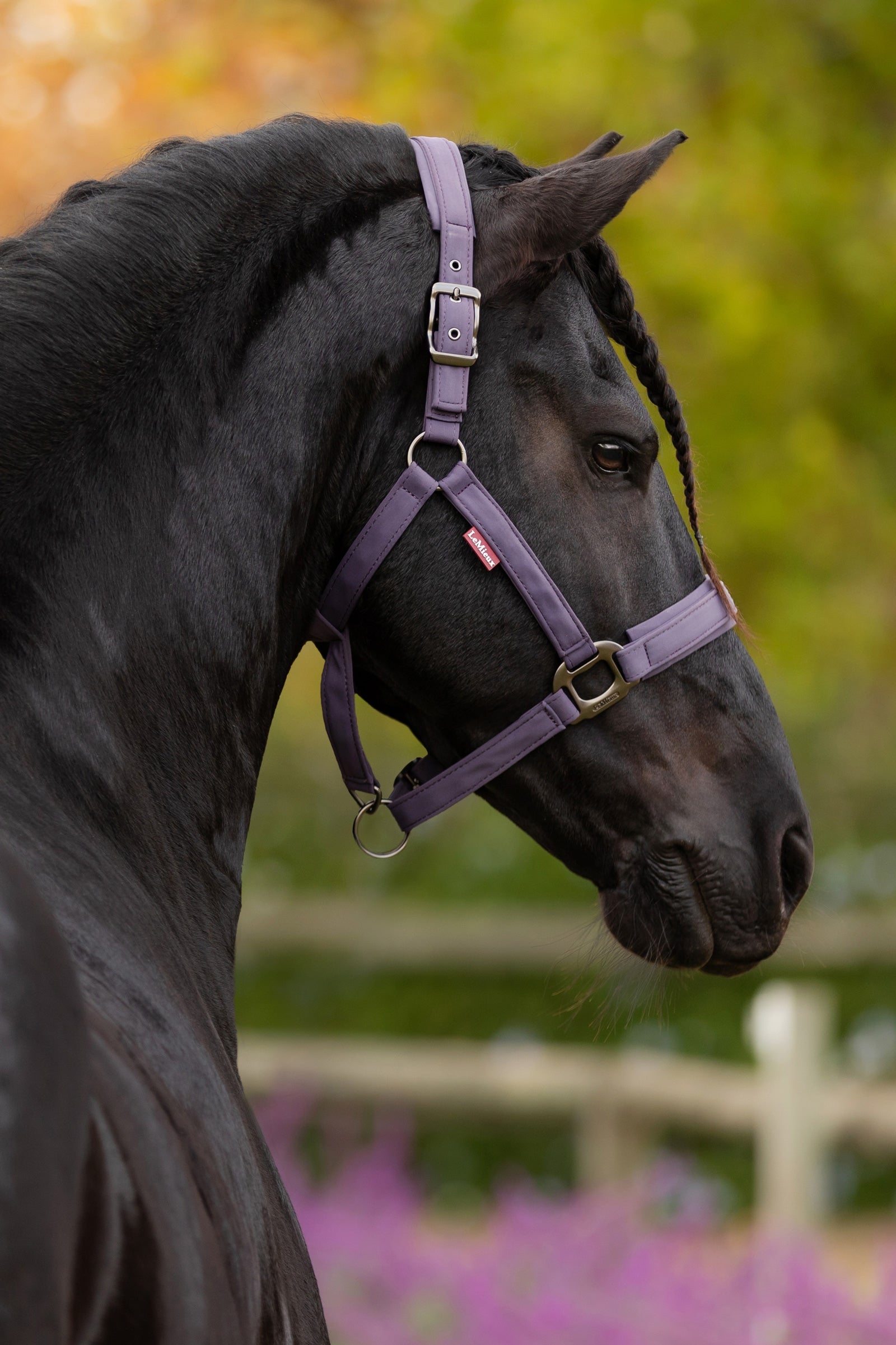 LeMieux Essence Headcollar Halters & Leads