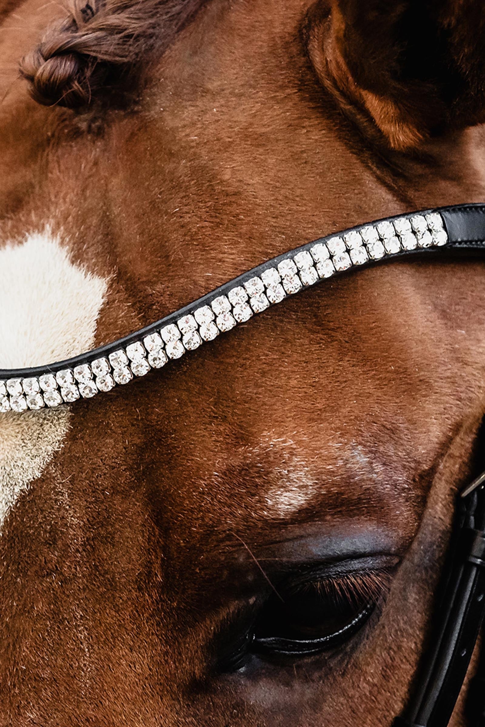 Schockemöhle Sports Schockemoehle Sports SP Valencia Bridle Bridles & Reins