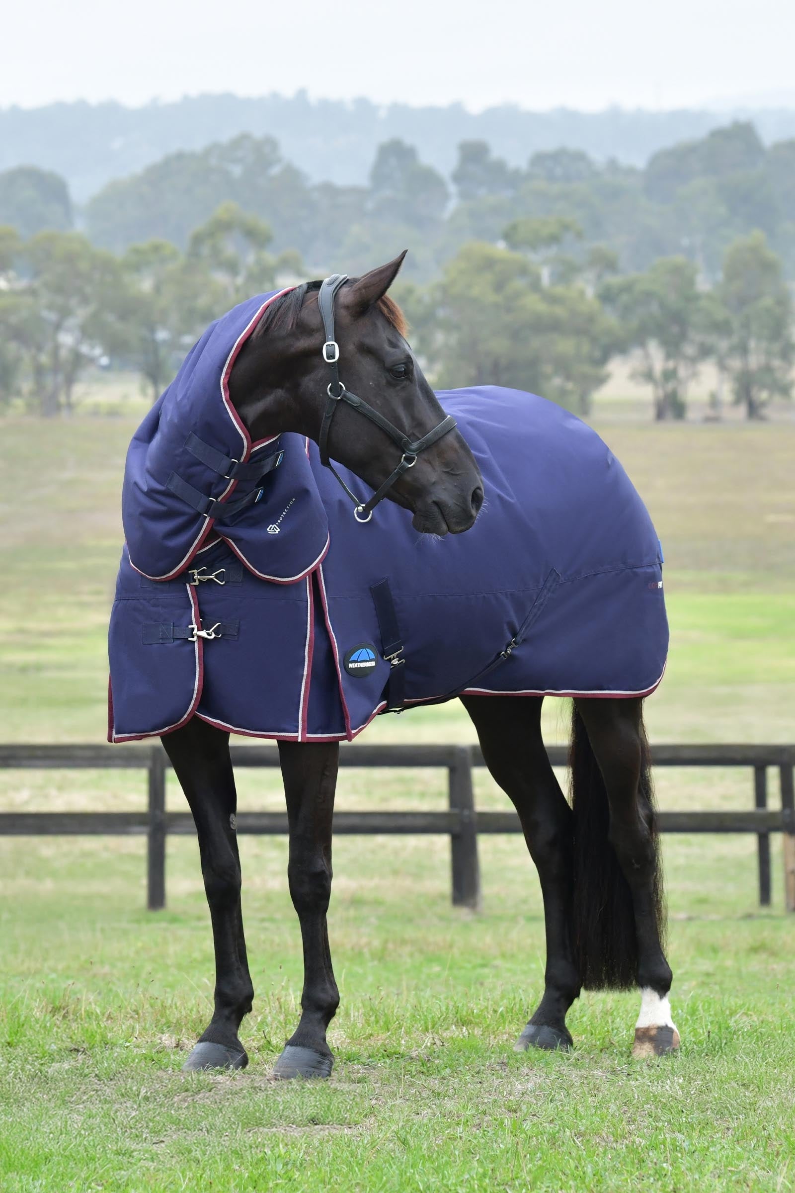 Weatherbeeta Comfitec Essential Turnout Detach-a-Neck, 50 g Horse Rugs