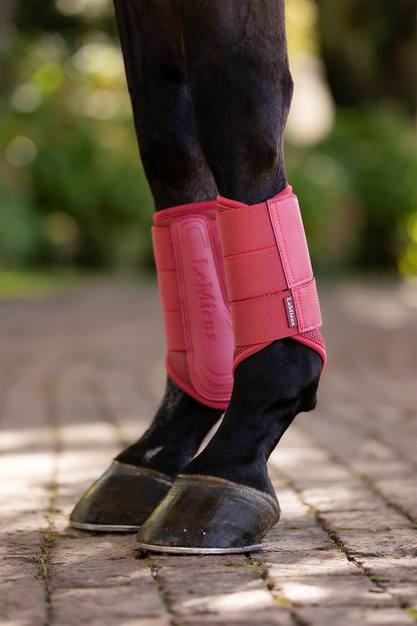 LeMieux Arika Mesh Brushing Boots Leg & Hoof Protection
