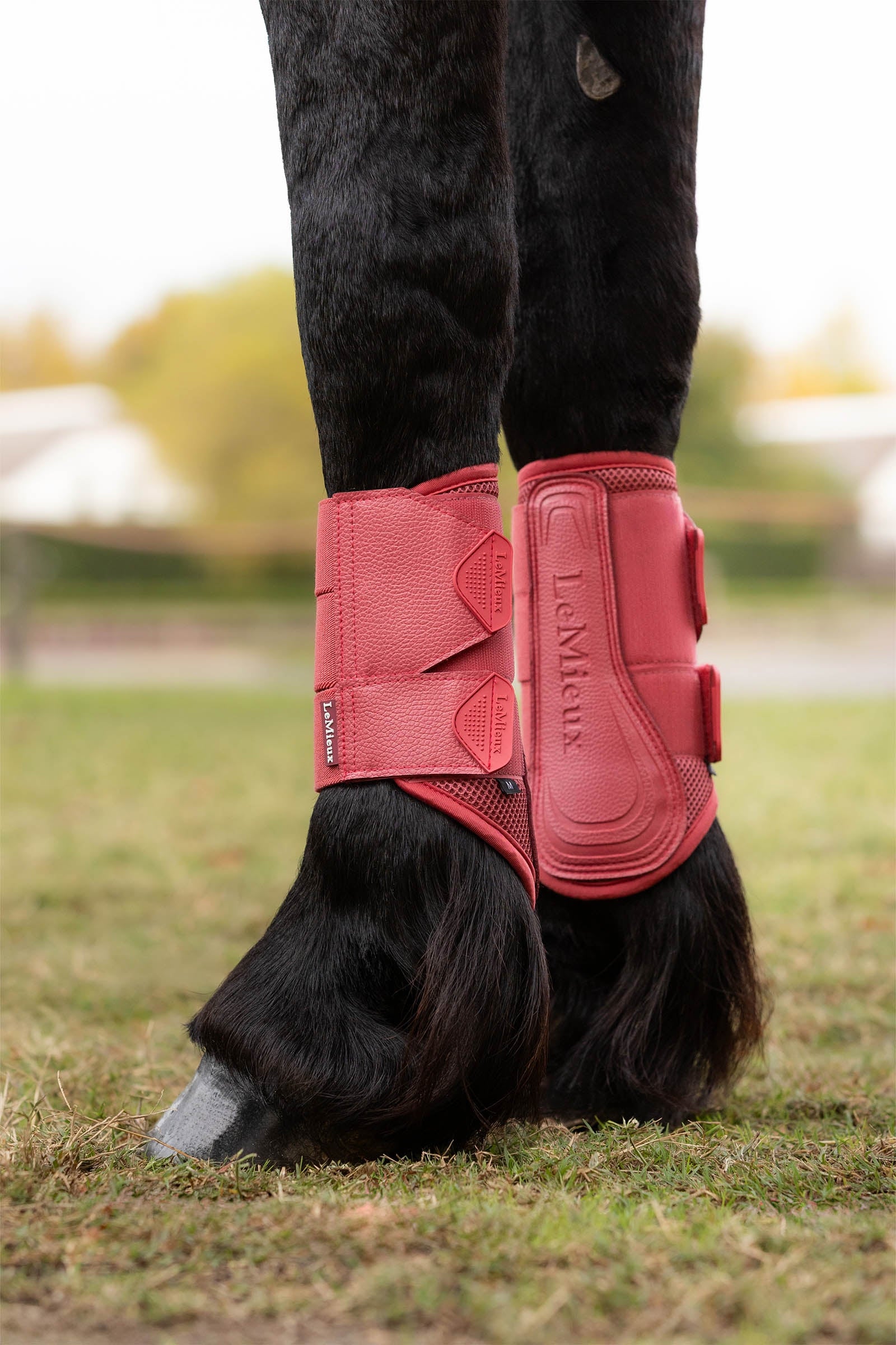 LeMieux Arika Mesh Brushing Boots Leg & Hoof Protection