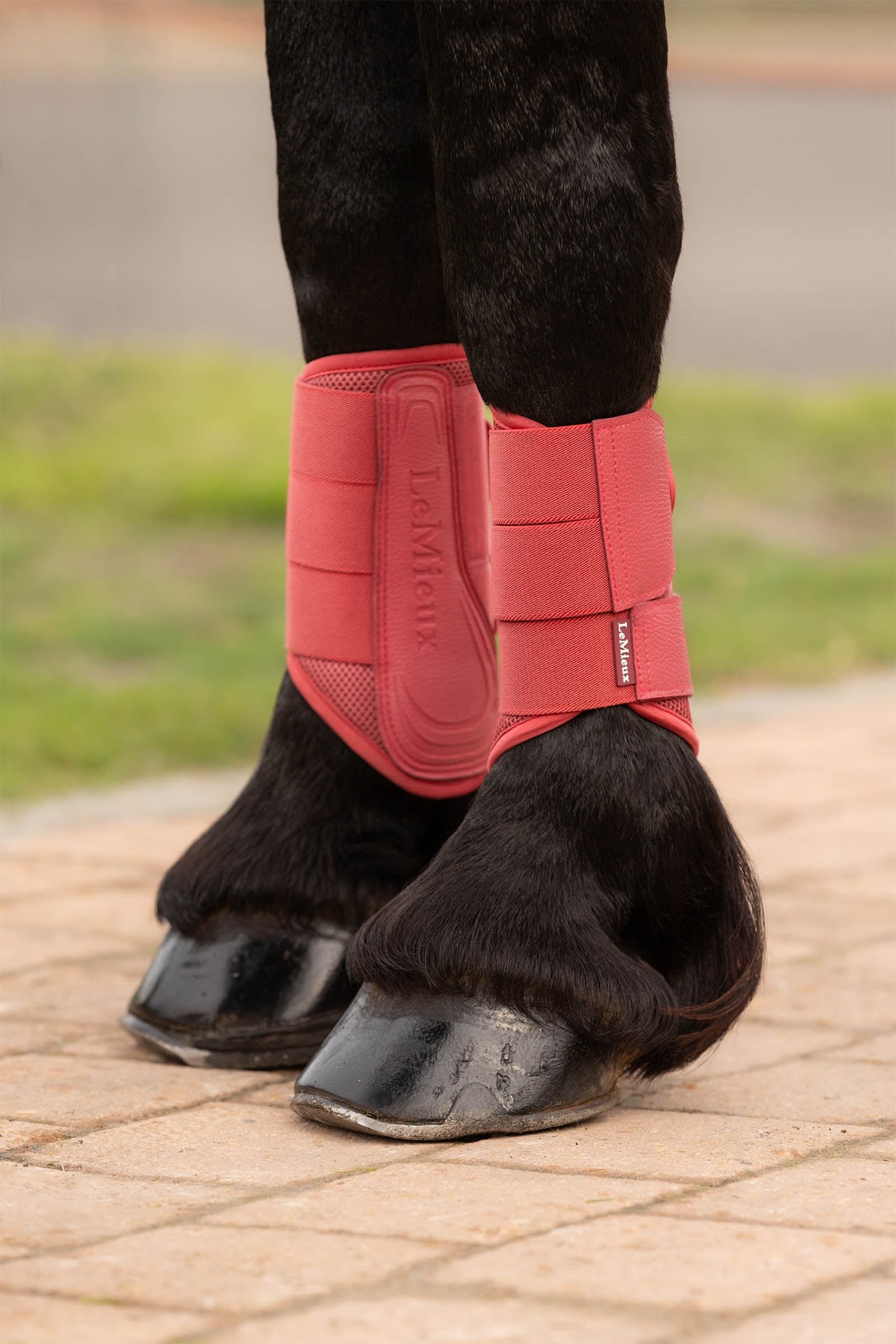 LeMieux Arika Mesh Brushing Boots Leg & Hoof Protection