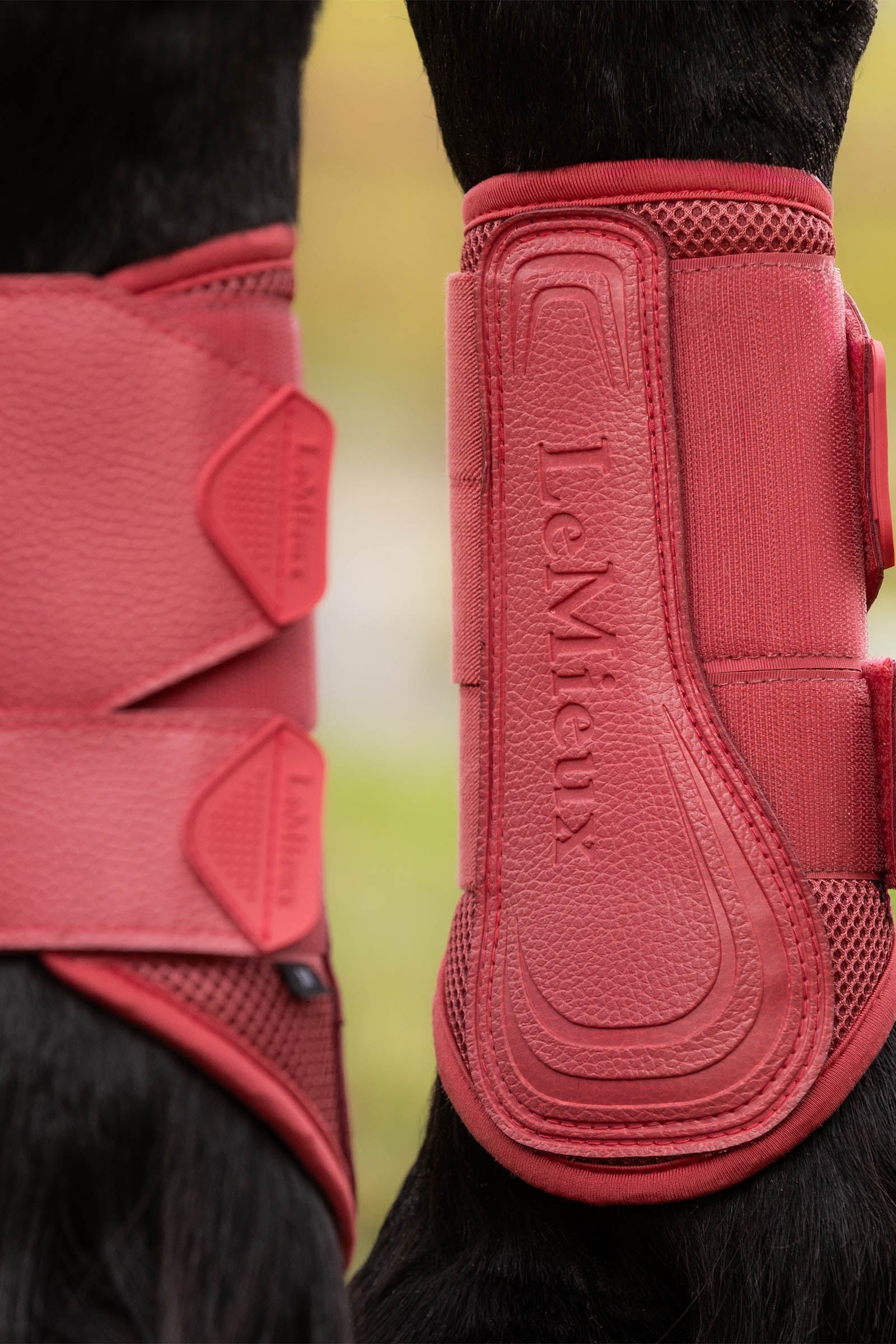 LeMieux Arika Mesh Brushing Boots Leg & Hoof Protection