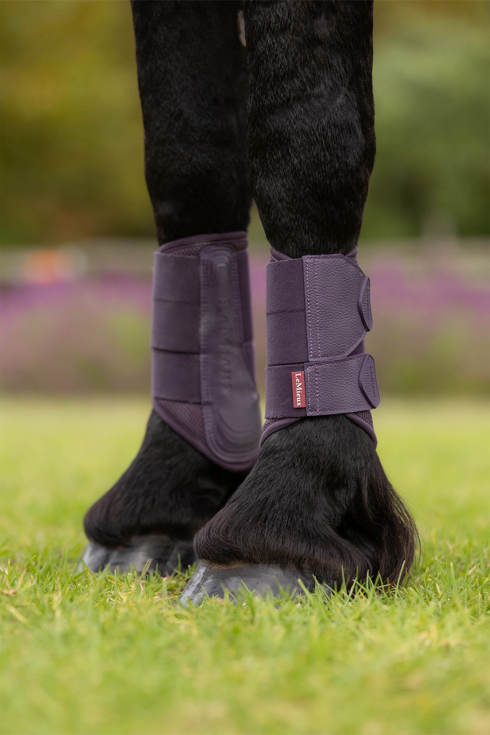 LeMieux Arika Mesh Brushing Boots Leg & Hoof Protection