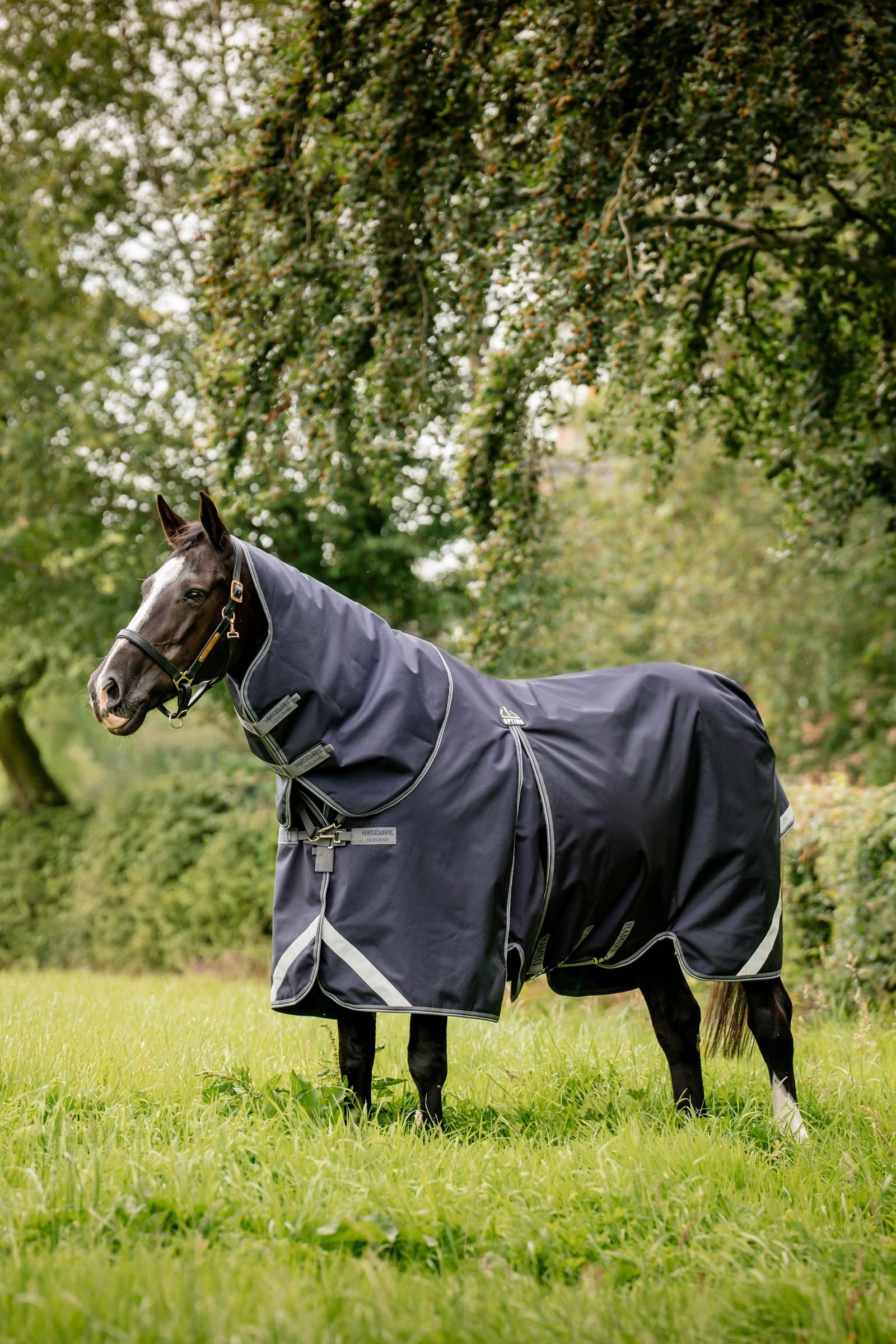 Horseware Rambo Optimo Plus Turnout Bundle (0g + 200g) Horse Rugs