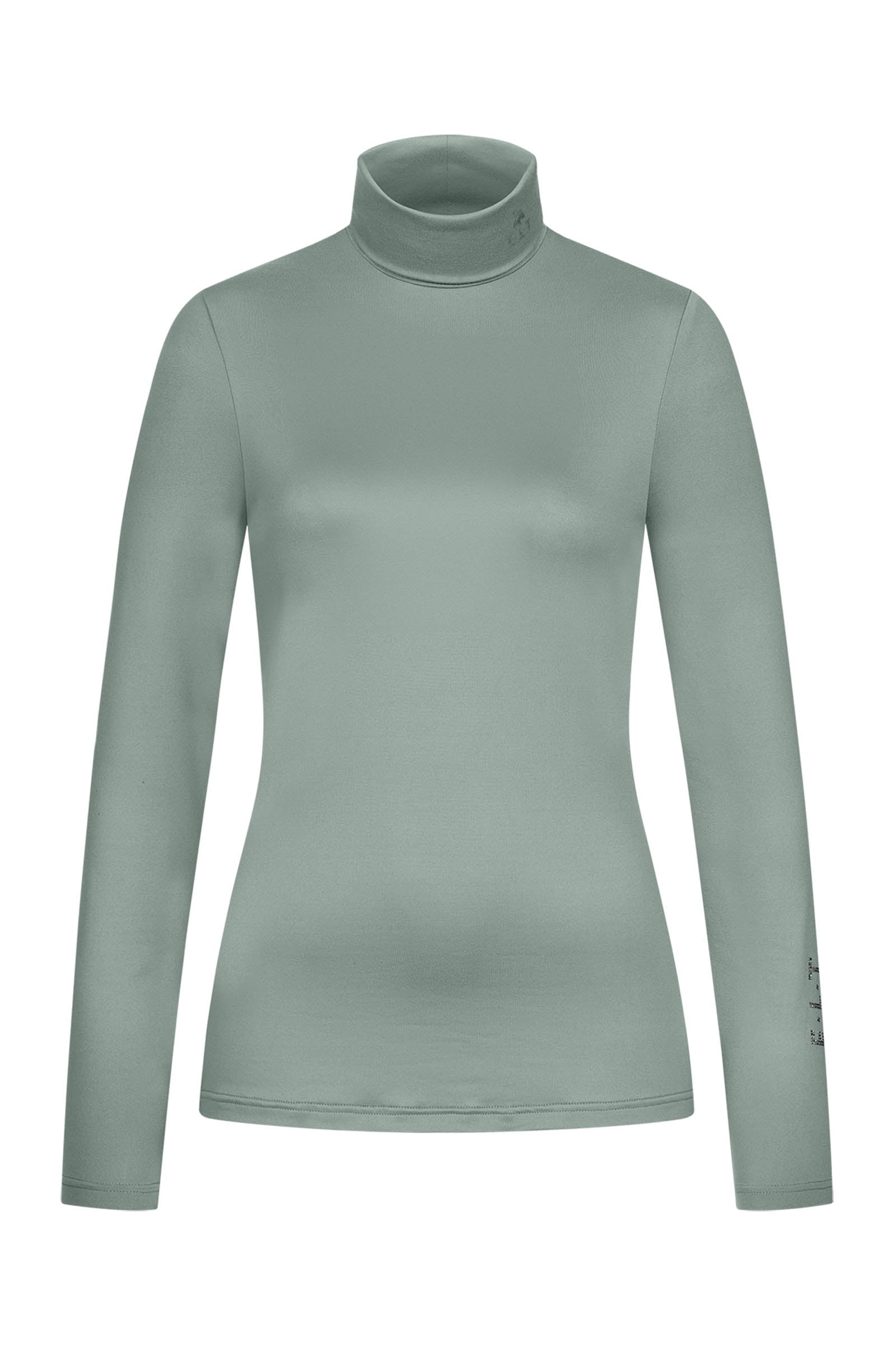 Alt Tag fallback text for IMAGE