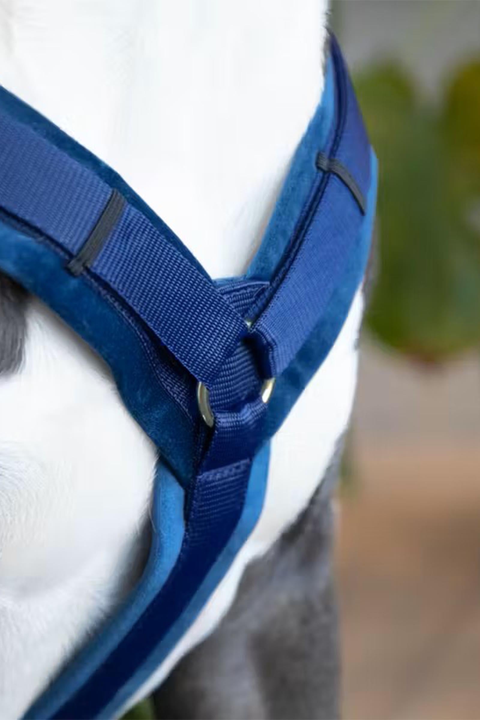 Kentucky Dogwear Active Velvet Dog Harness Dog Accesories