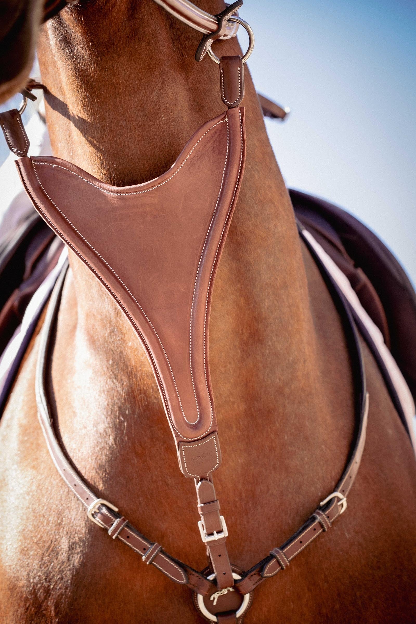 PENELOPE Bip Flap Martingale Fork, Elastic Bridles & Reins