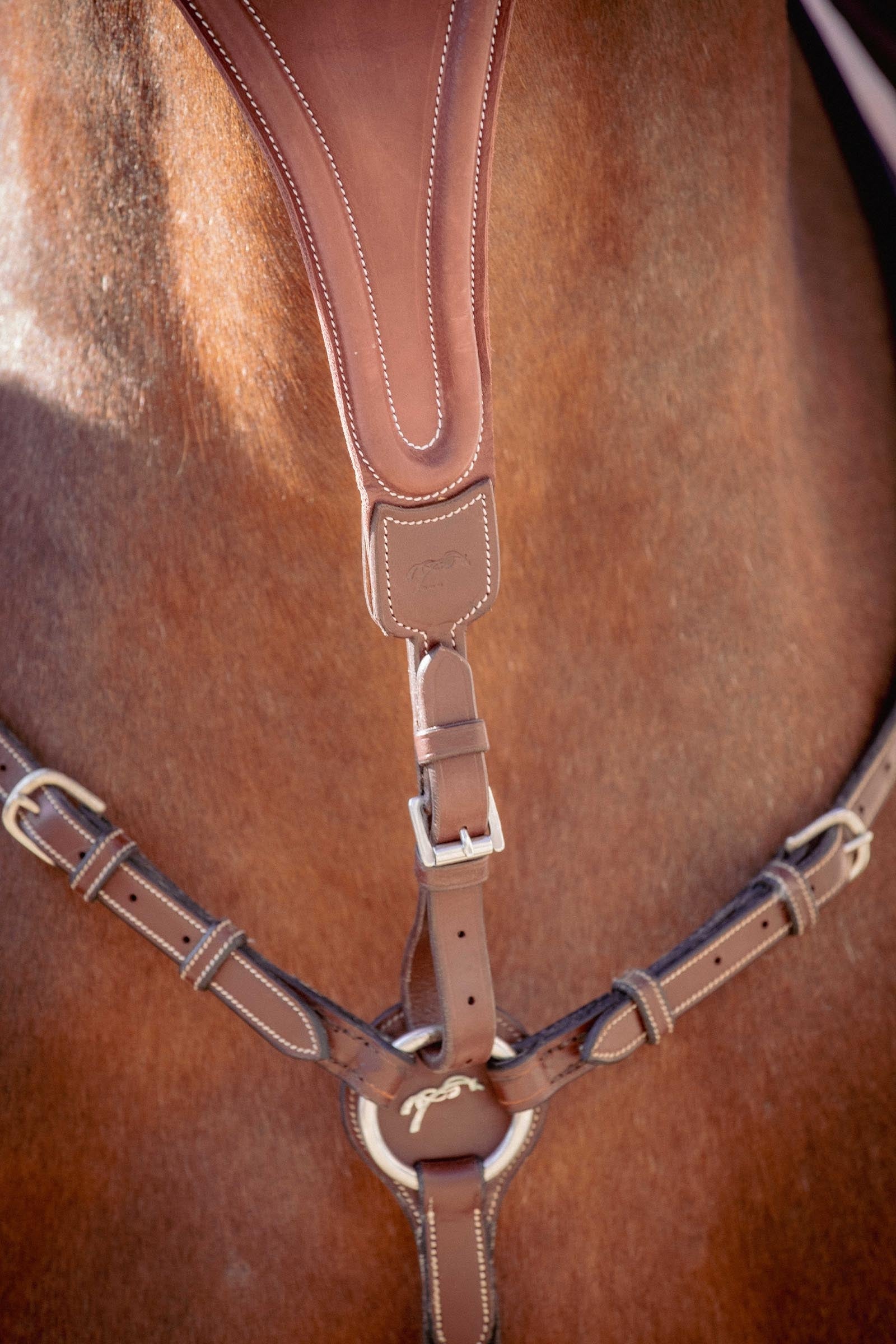 PENELOPE Bip Flap Martingale Fork, Elastic Bridles & Reins