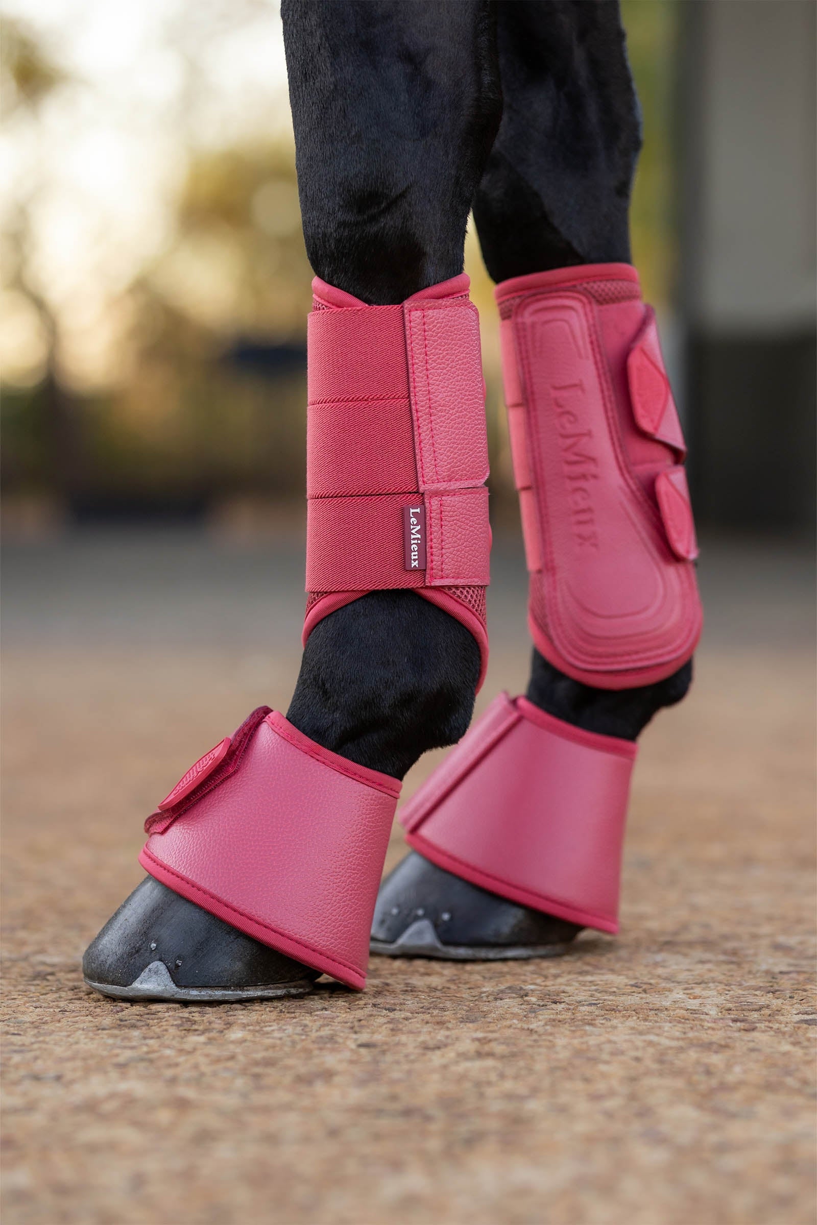 LeMieux Arika Over Reach Boots Leg & Hoof Protection