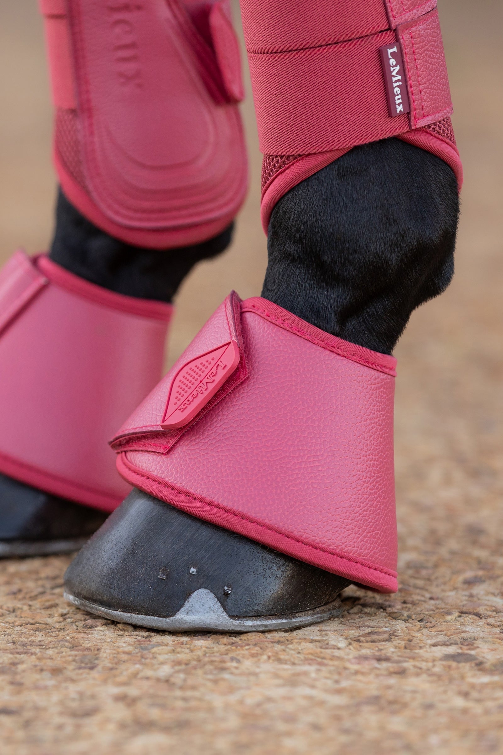 LeMieux Arika Over Reach Boots Leg & Hoof Protection