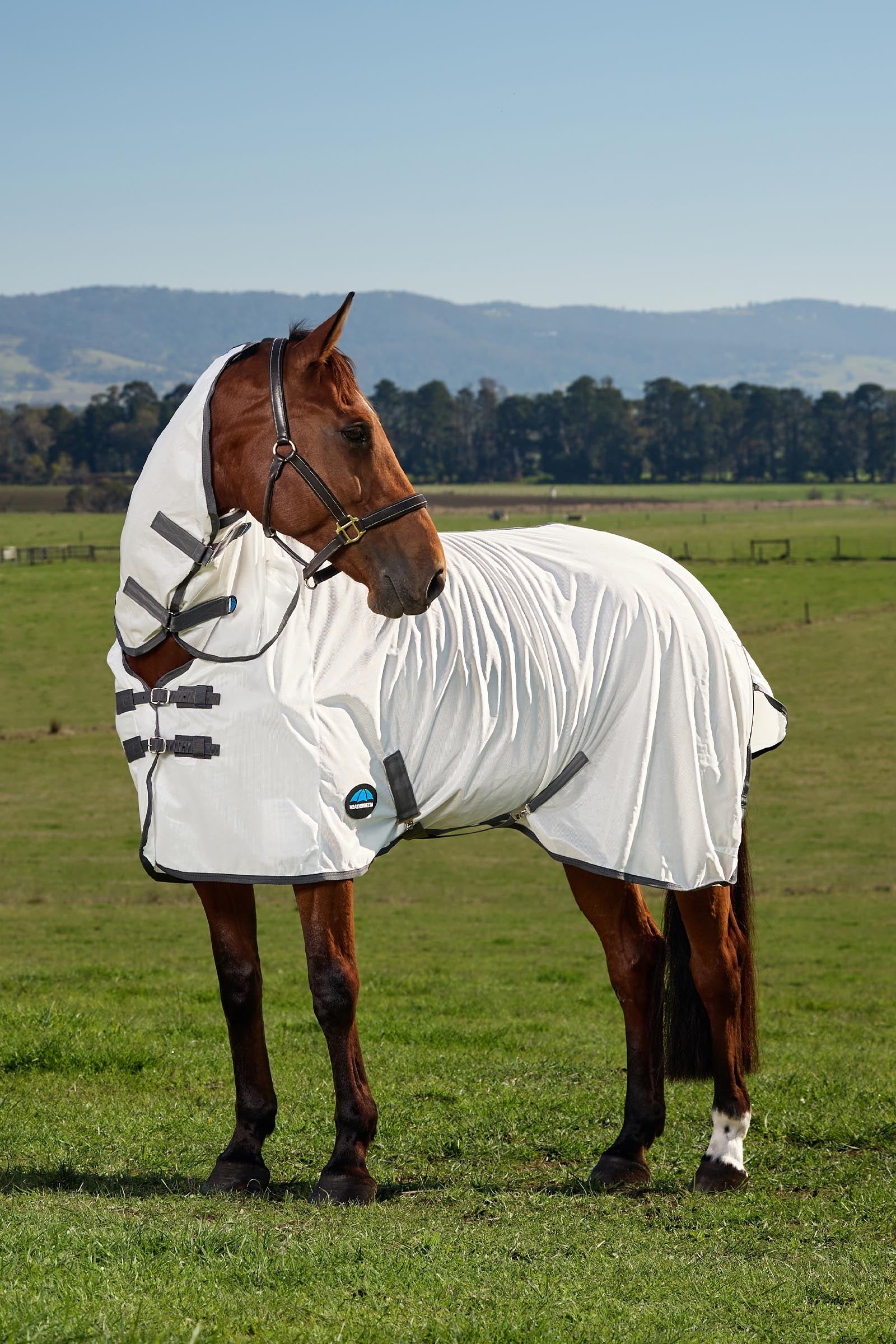 Weatherbeeta Comfitec Tyro Fly Sheet Combo W. Fixed Neck, 0g Horse Rugs