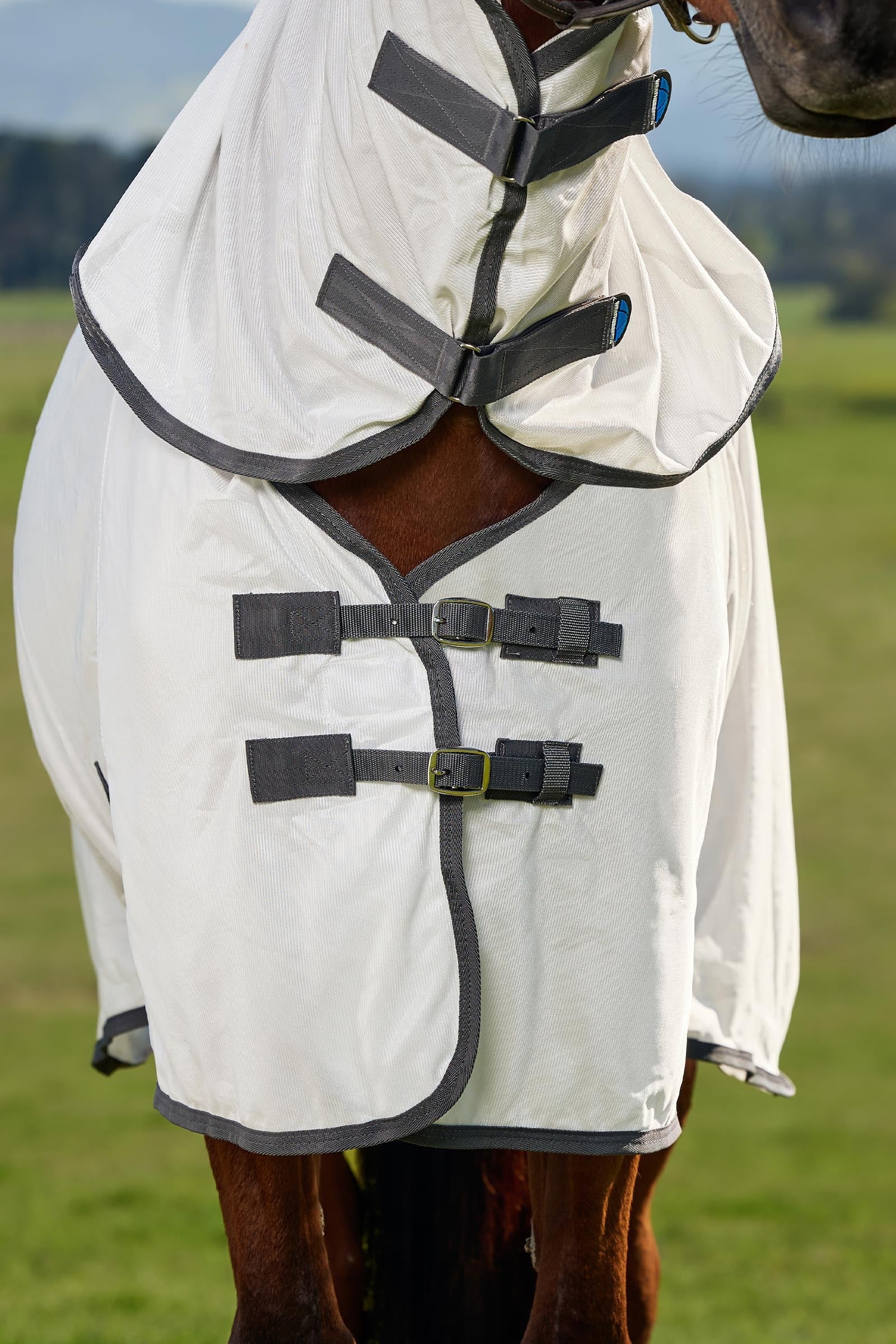 Weatherbeeta Comfitec Tyro Fly Sheet Combo W. Fixed Neck, 0g Horse Rugs