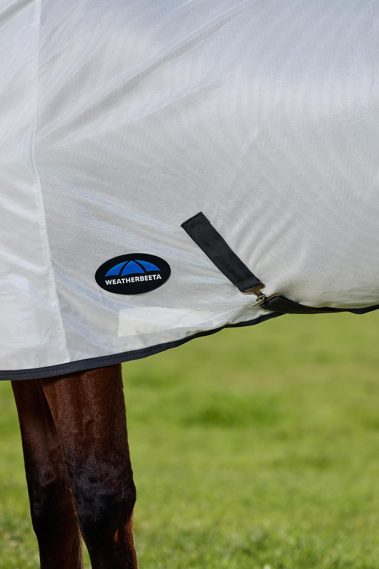 Weatherbeeta Comfitec Tyro Fly Sheet Combo W. Fixed Neck, 0g Horse Rugs