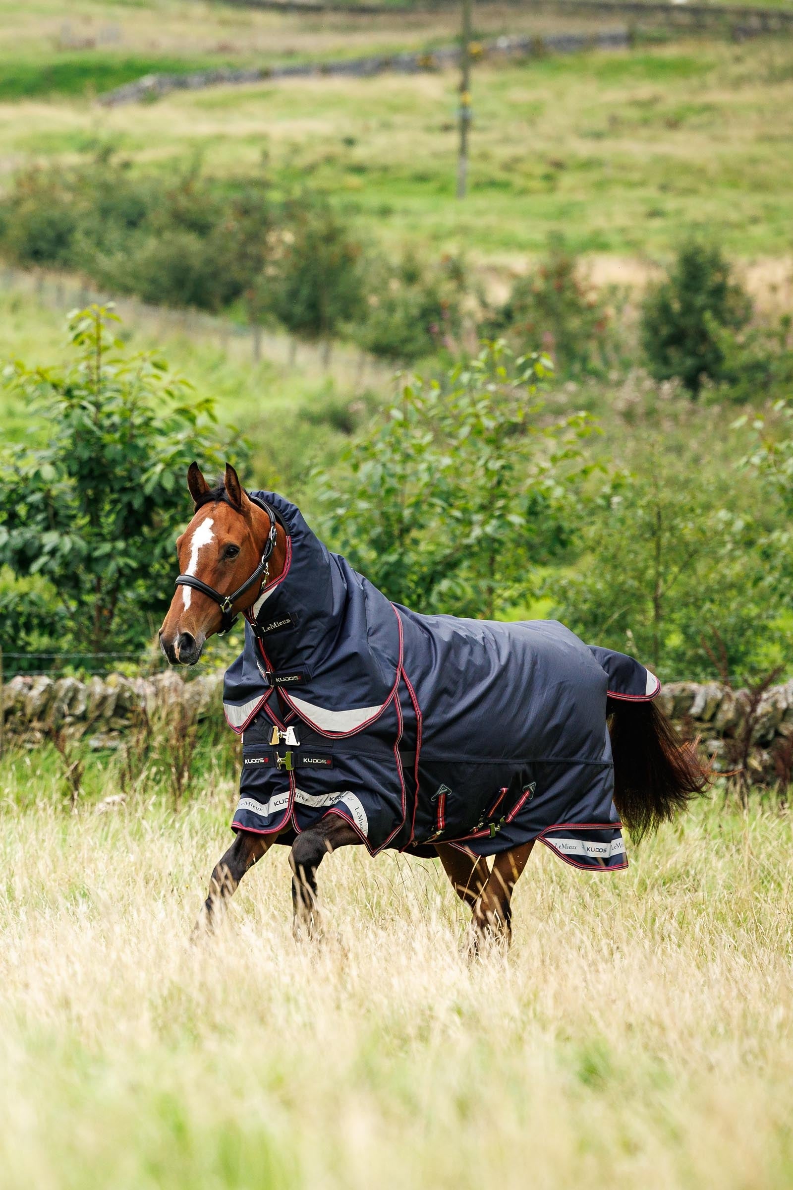 LeMieux Kudos Thermo Layer Turnout Rug, 300 g Horse Rugs