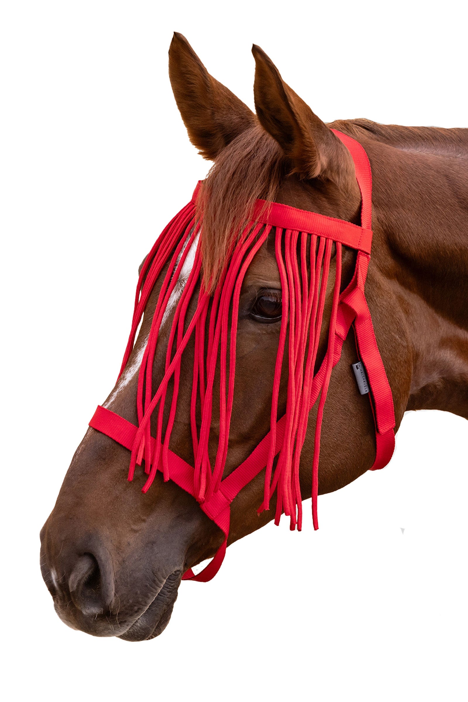Waldhausen Grazing Halter With Fly Fringe Halters & Leads